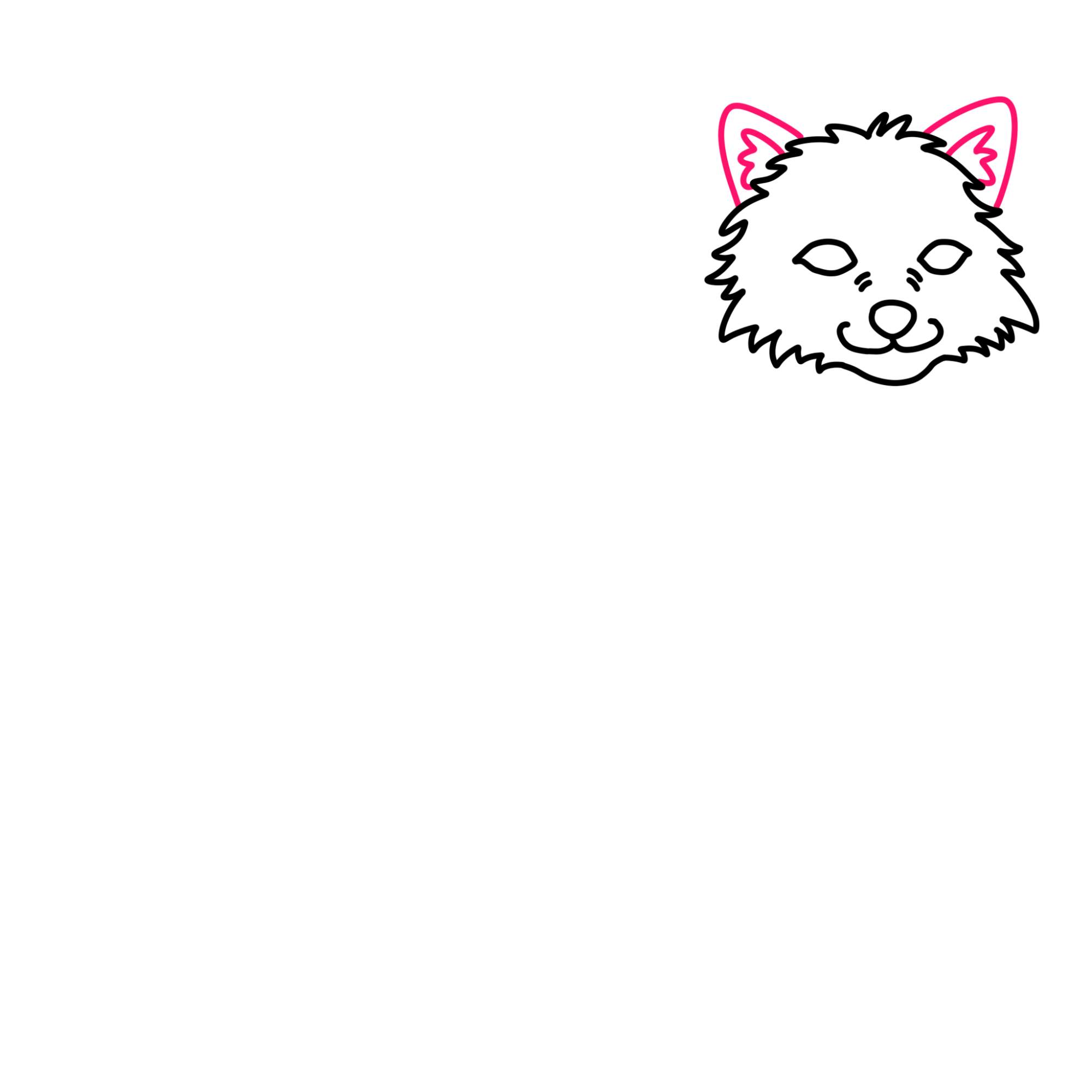 Draw an Arctic Fox - Step-5