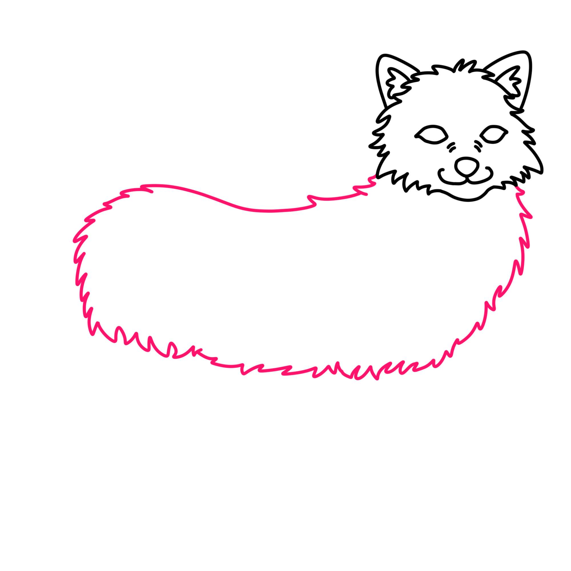 Draw an Arctic Fox - Step-6