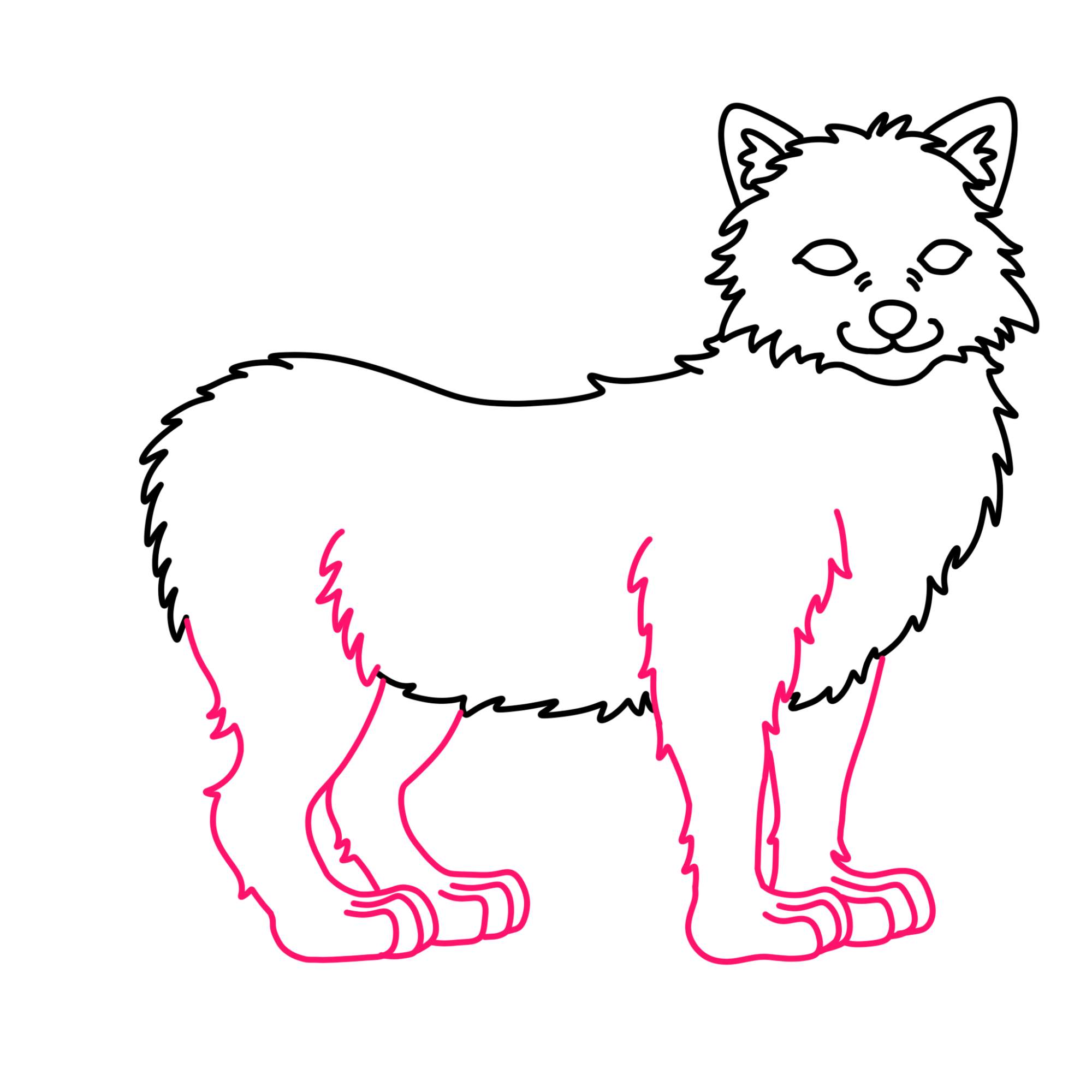 Draw an Arctic Fox - Step-7