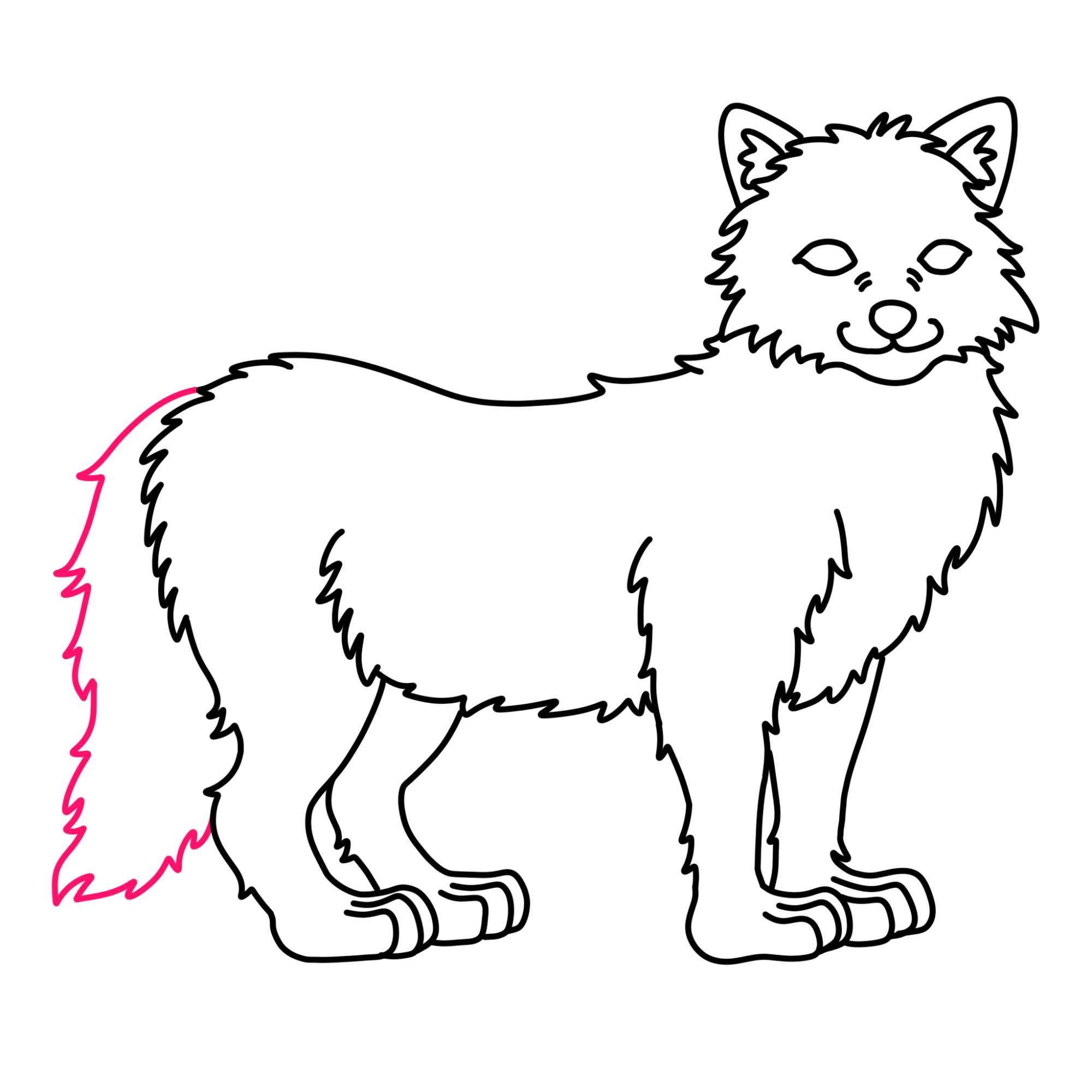 Draw an Arctic Fox - Step-8