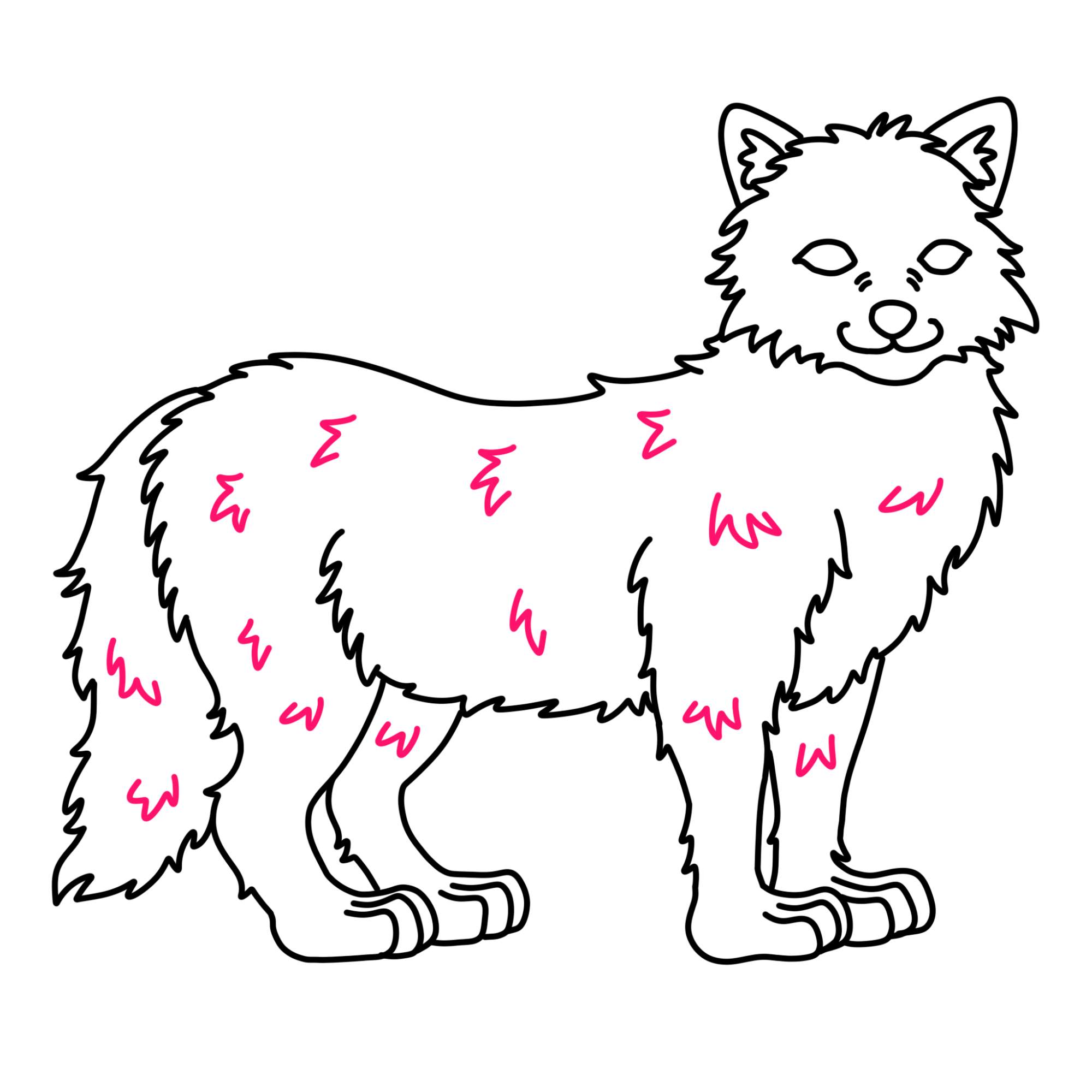 Draw an Arctic Fox - Step-9