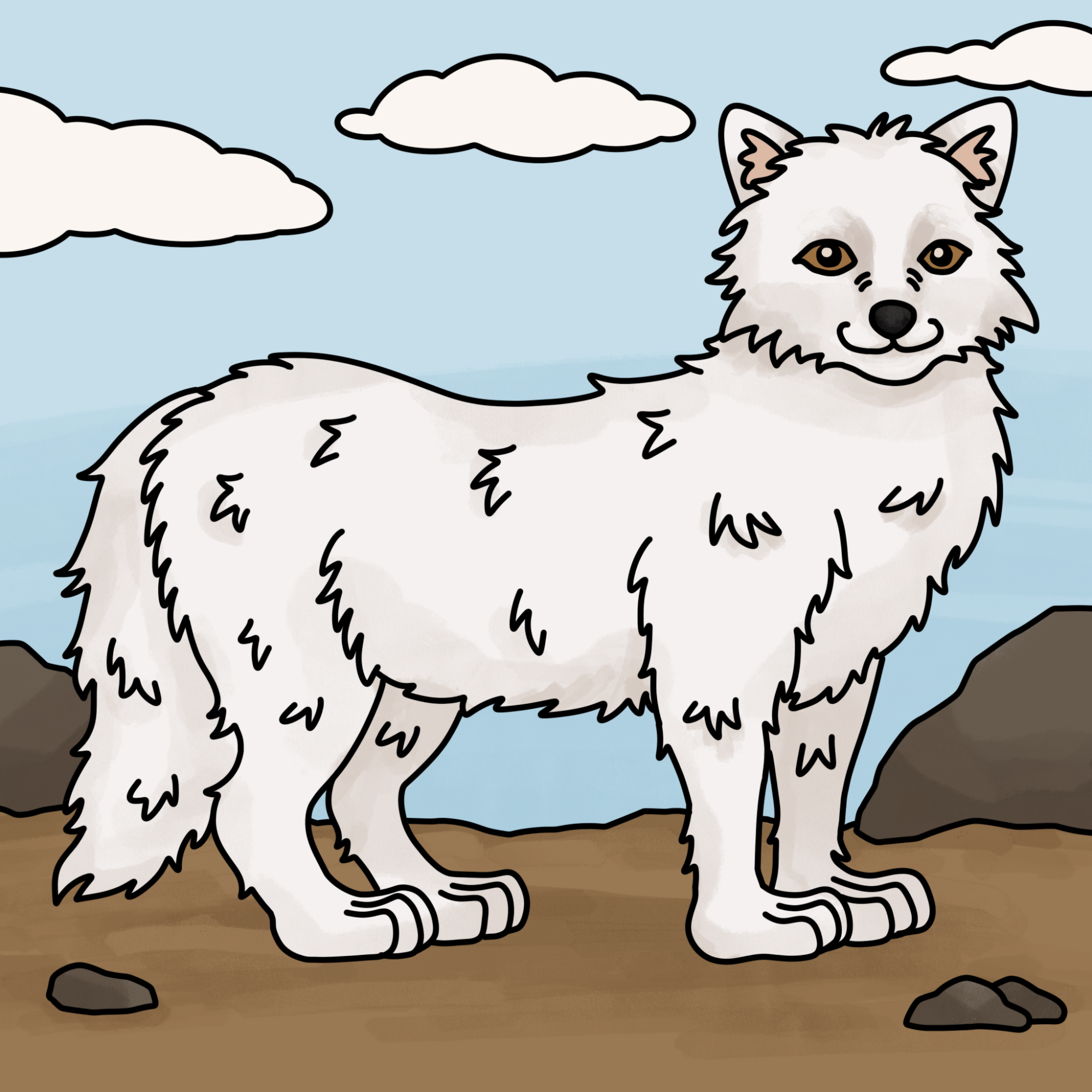 Draw an Arctic Fox