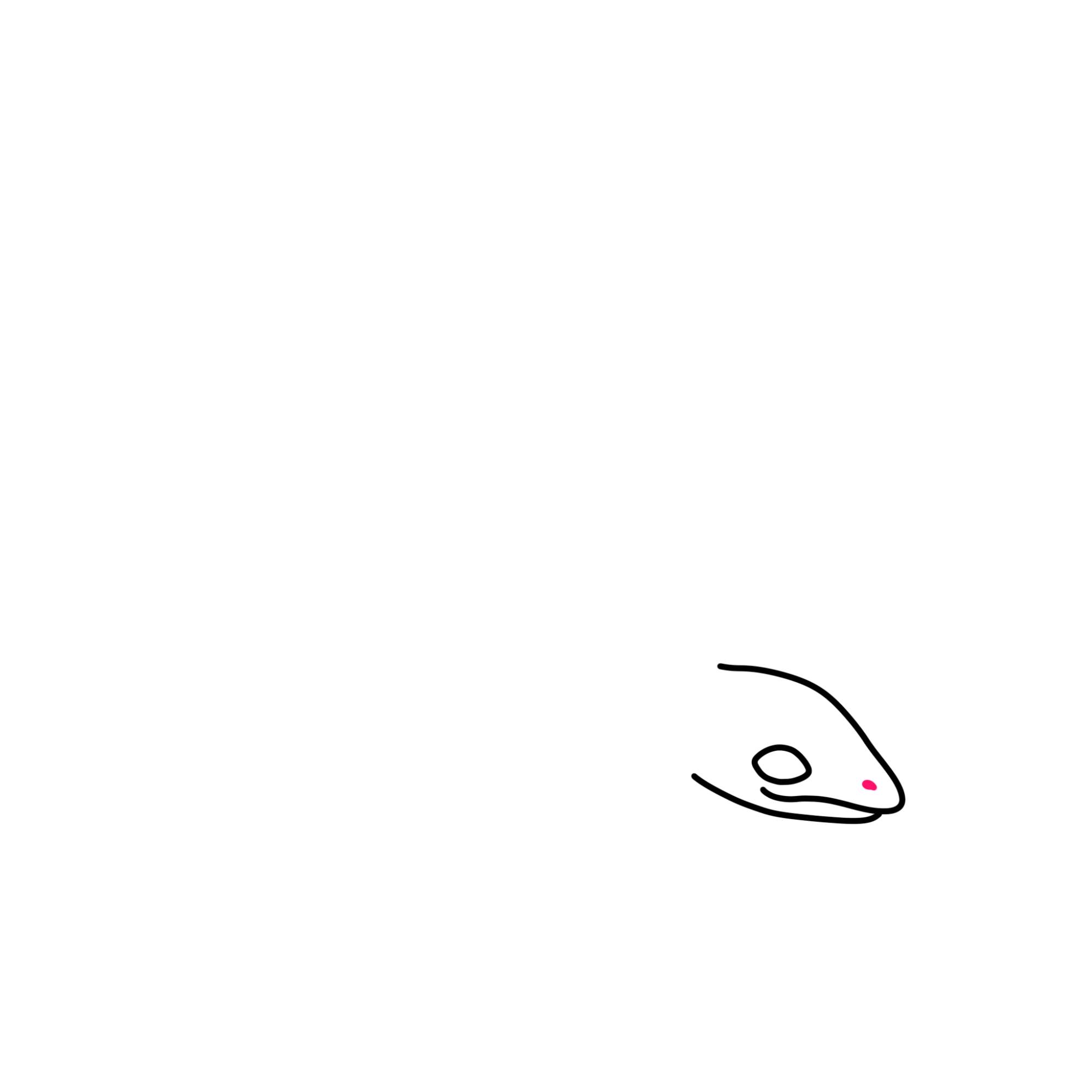 Easy Lizard Drawing - Step-4