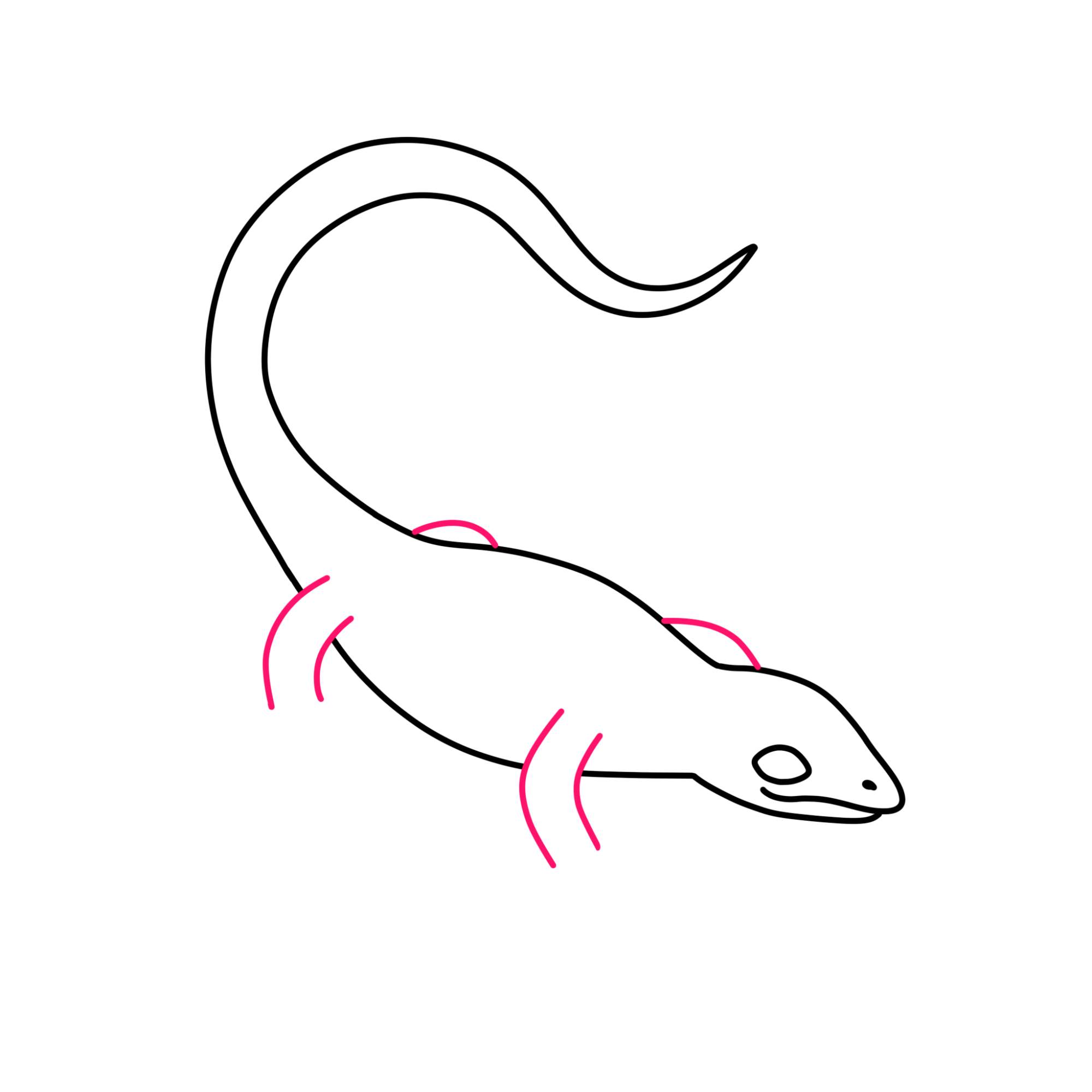 Easy Lizard Drawing - Step-7