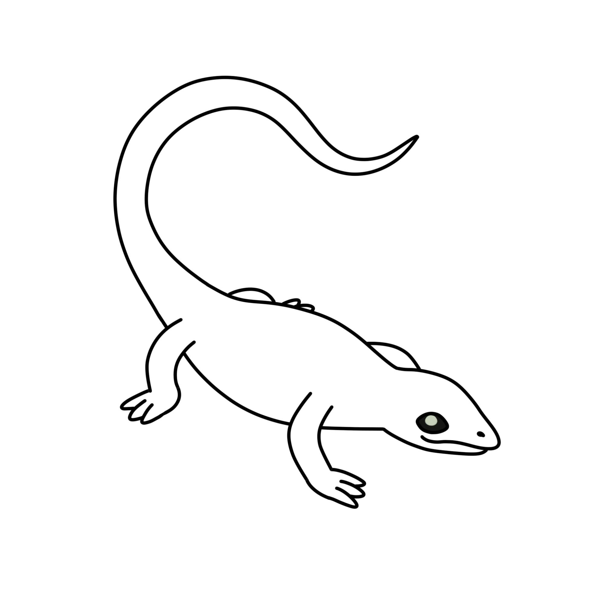 Easy Lizard Drawing - Step-9