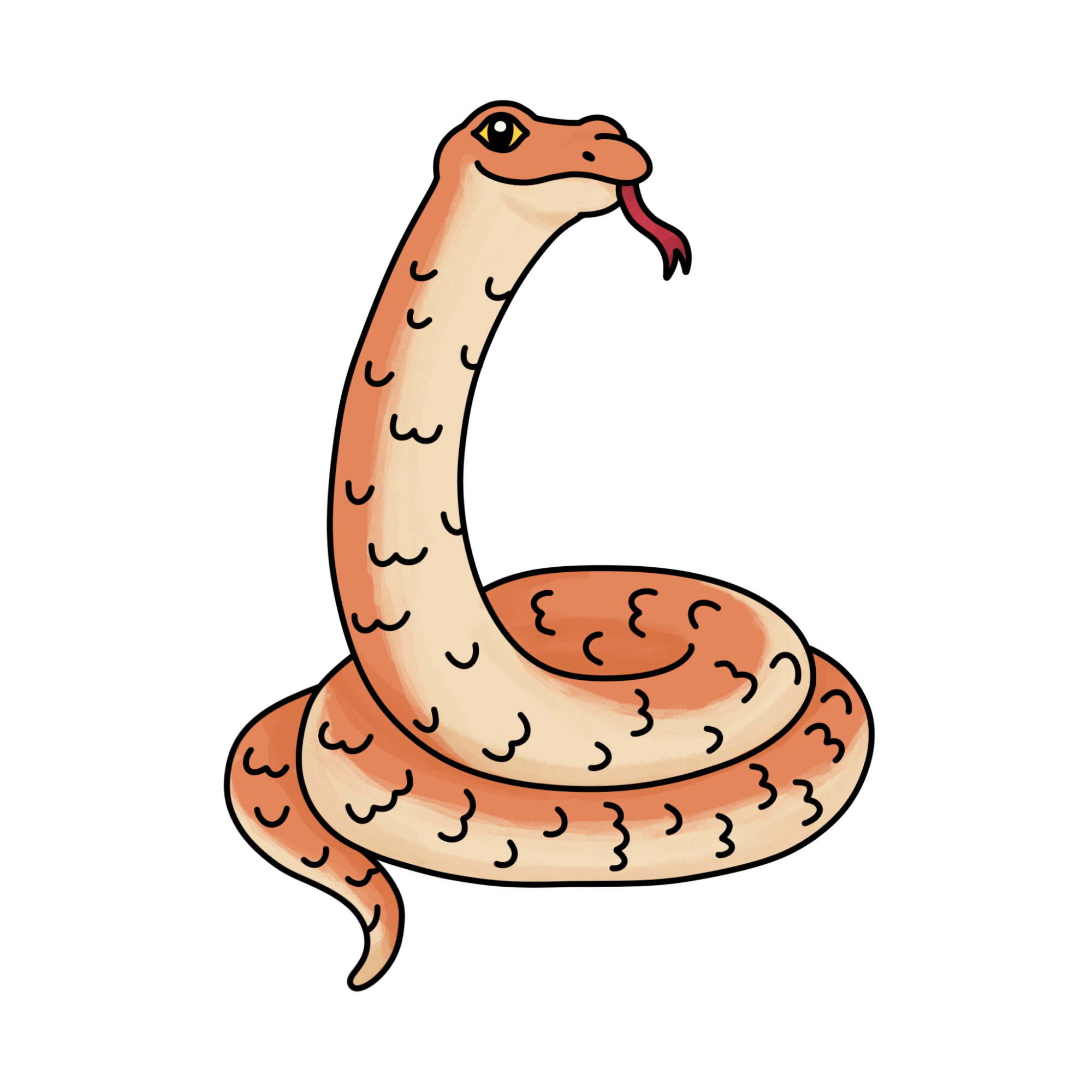 Easy Snake Drawing