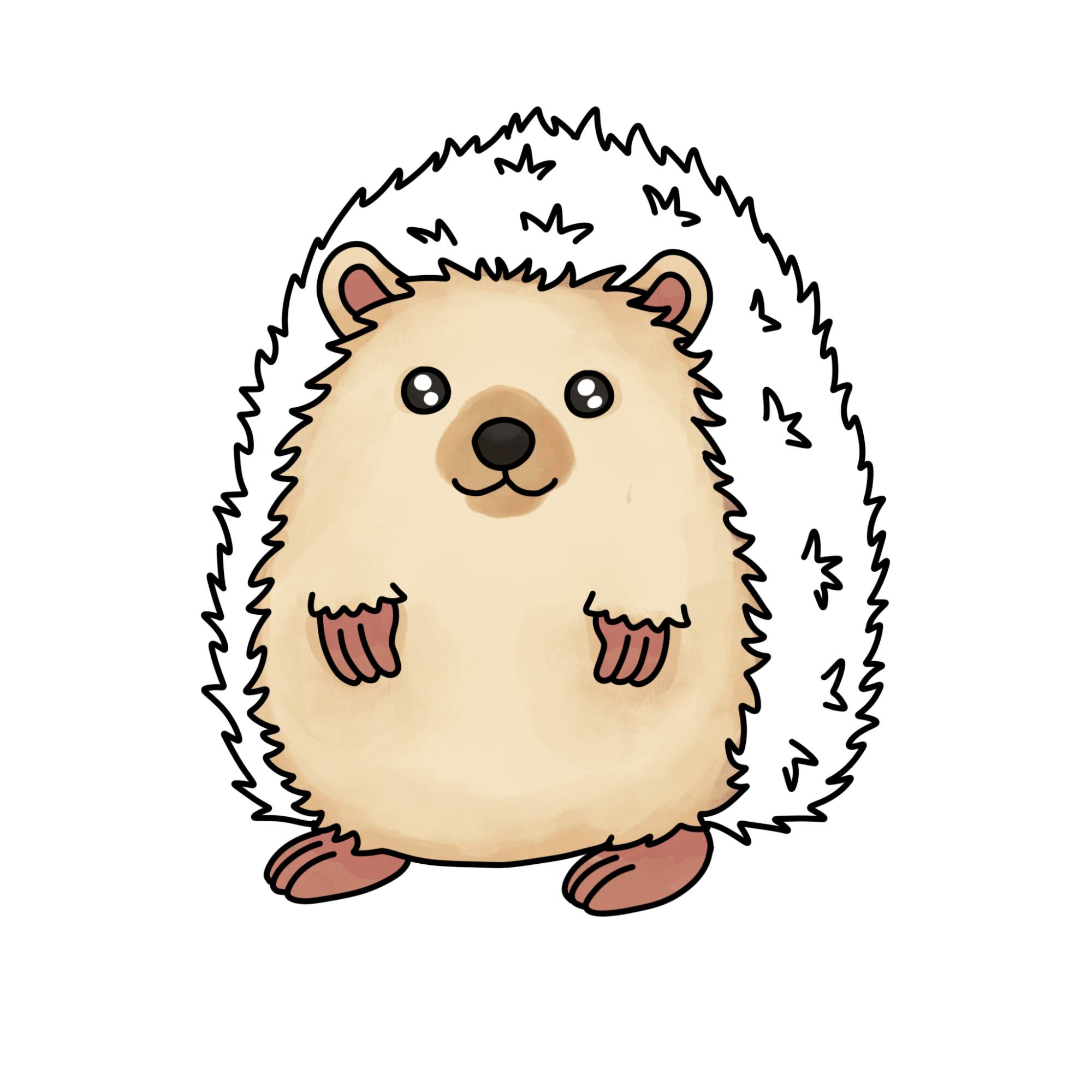 Hedgehog Drawing - Step-11