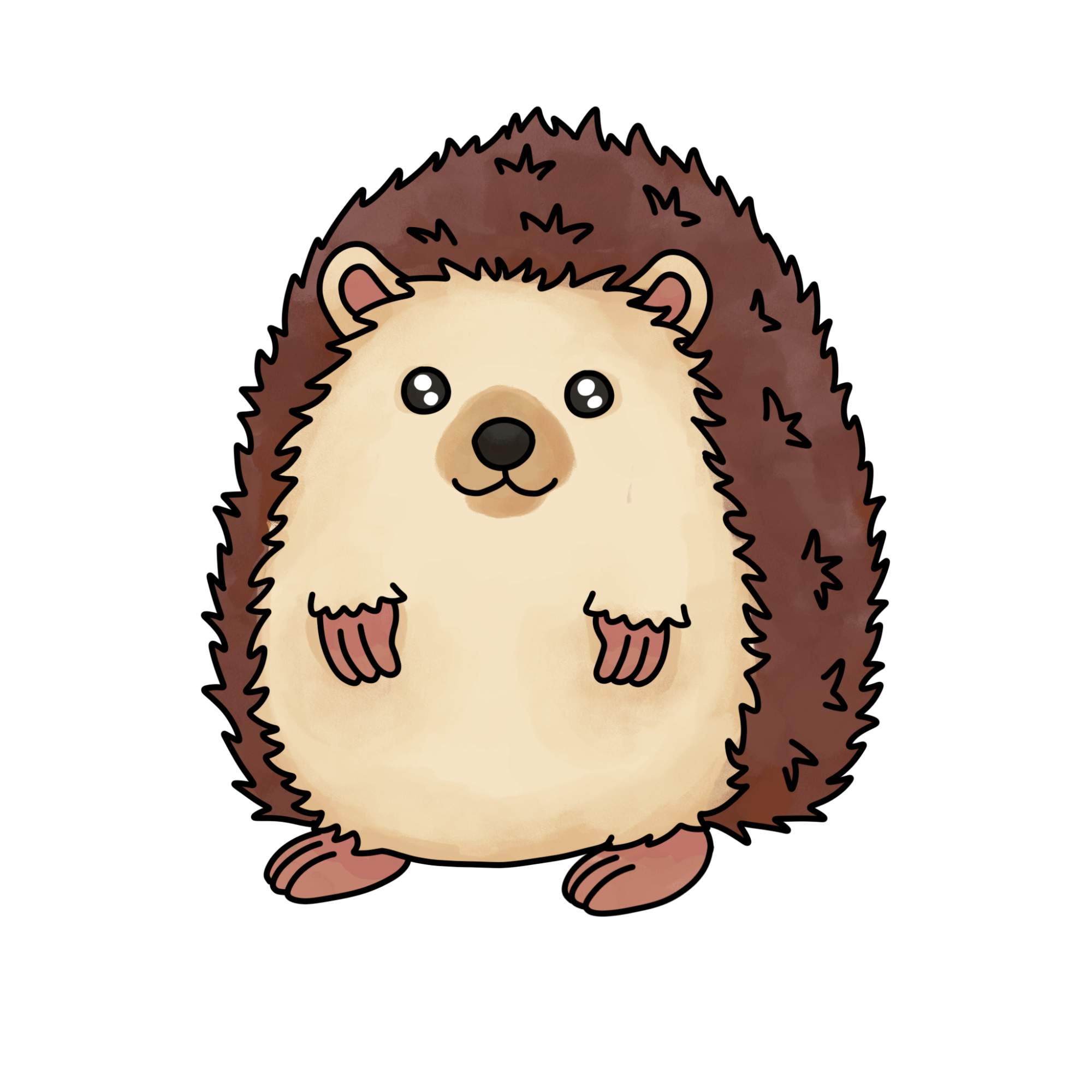 Hedgehog Drawing - Step-12