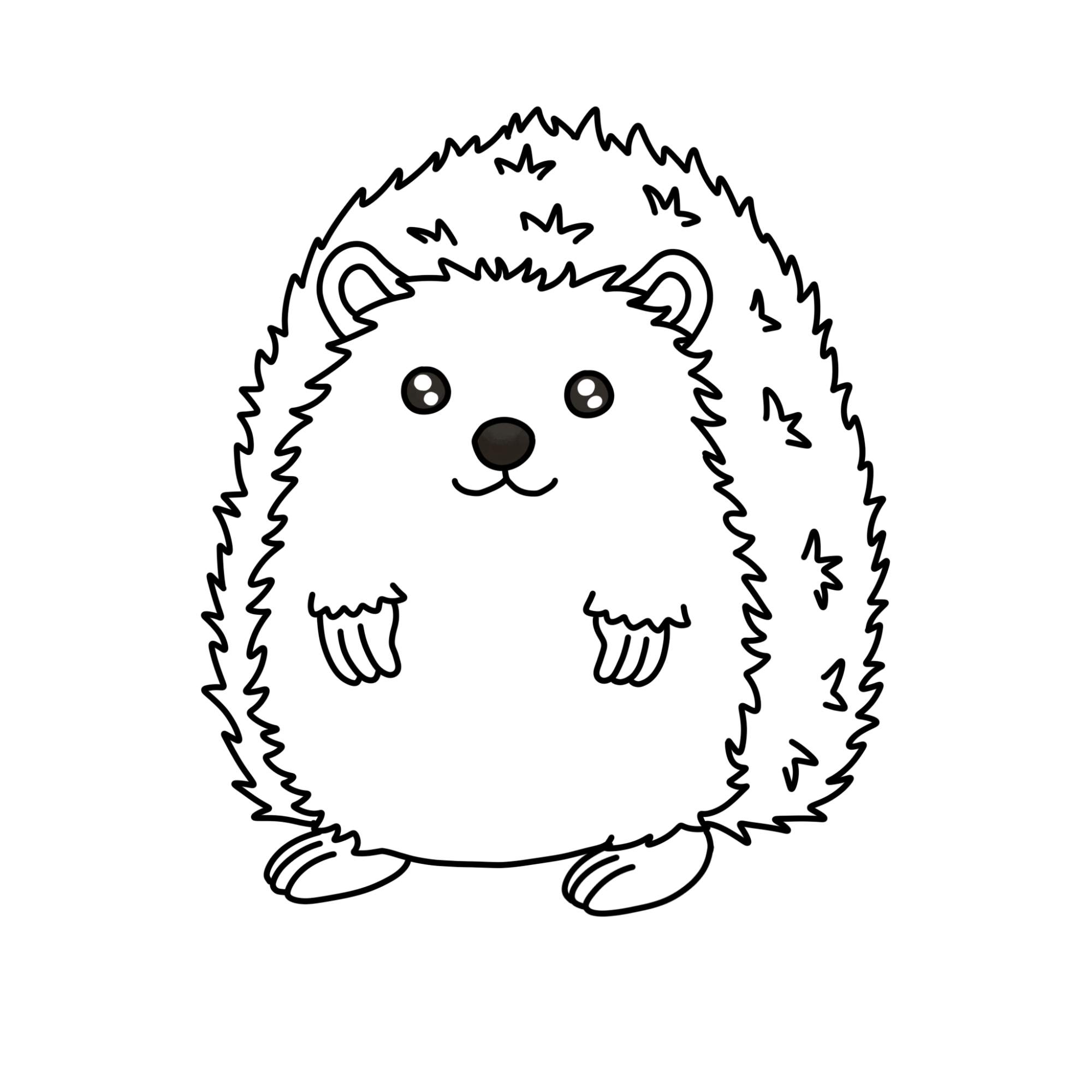 Hedgehog Drawing - Step-9