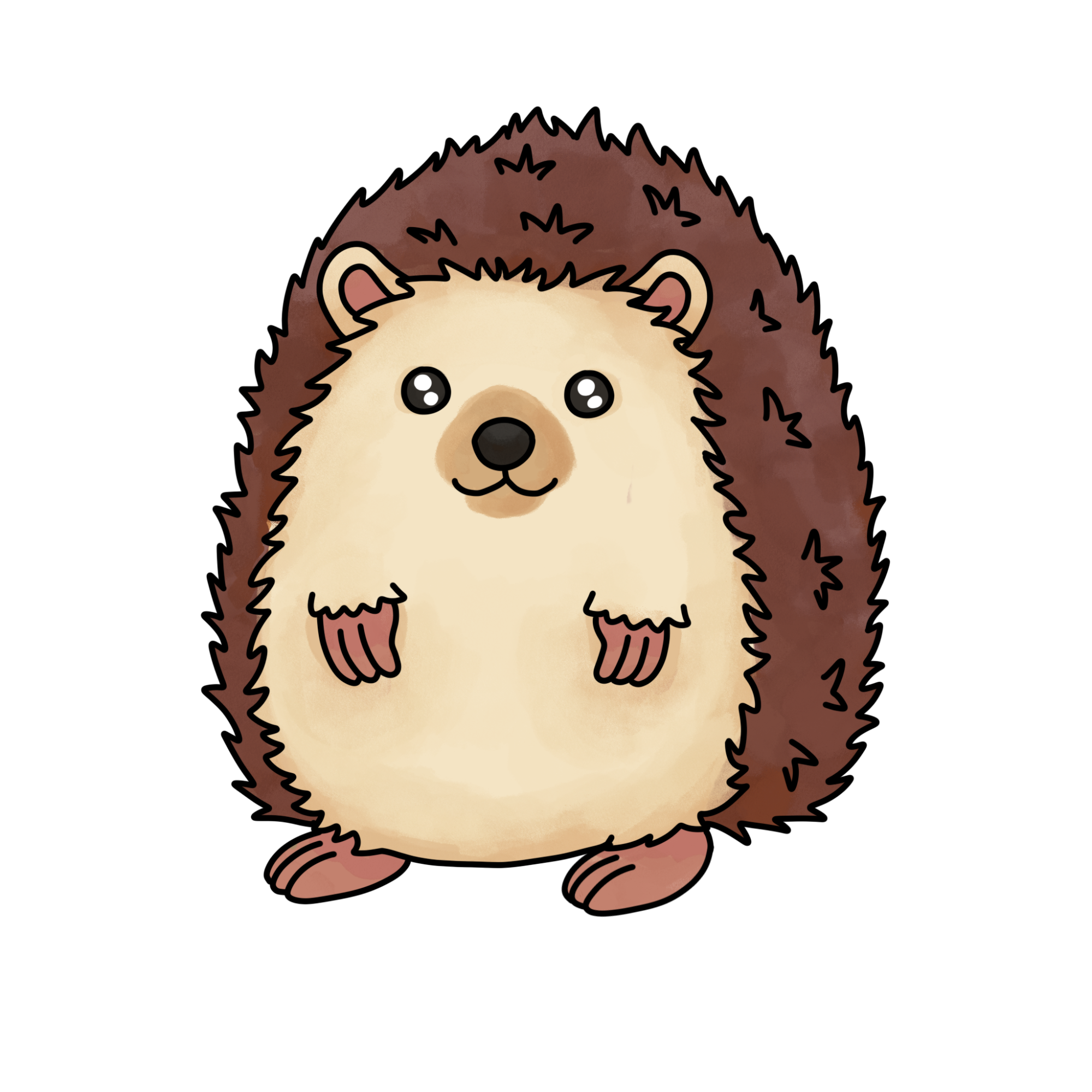 Hedgehog Drawing