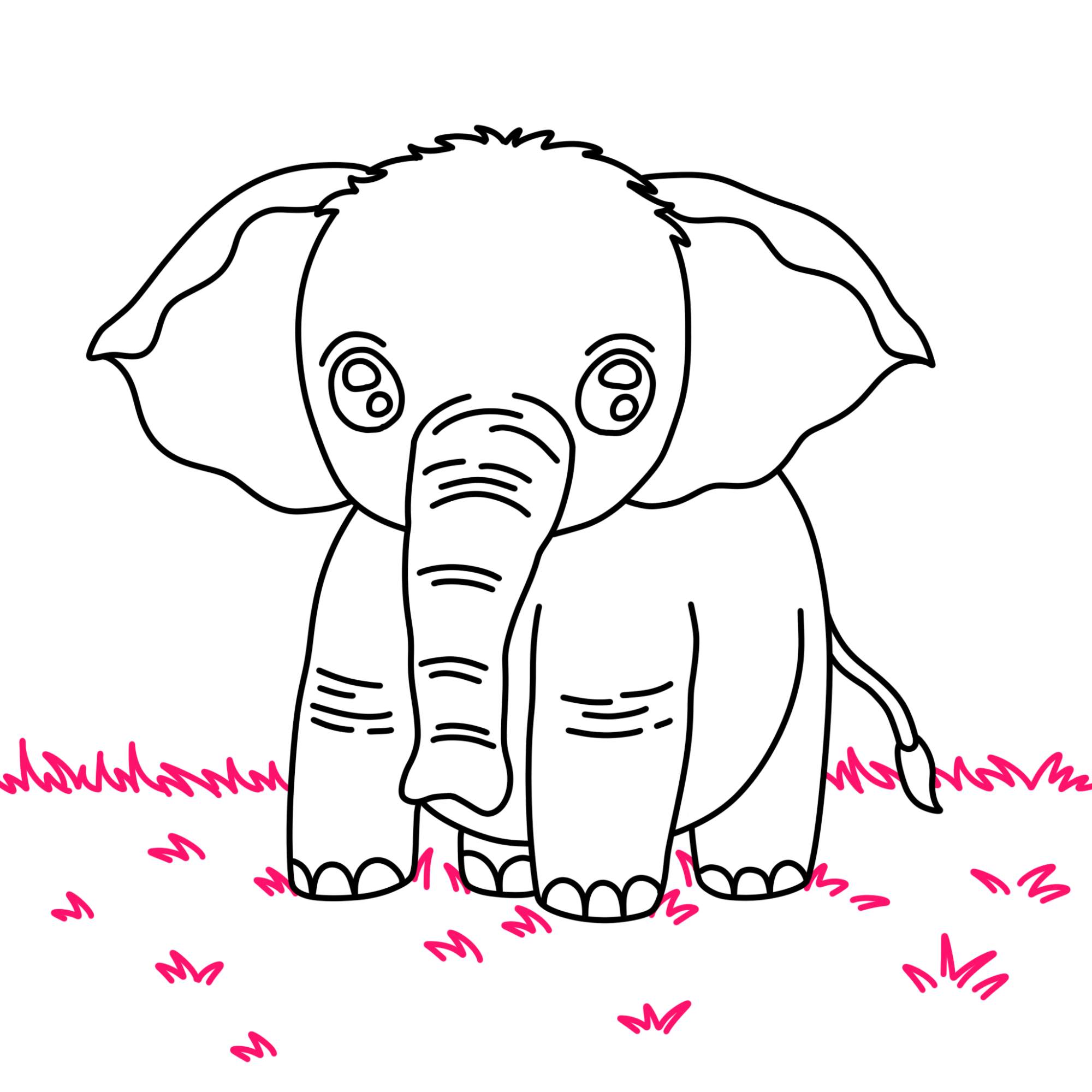 How to Draw a Baby Elephant - Step-10