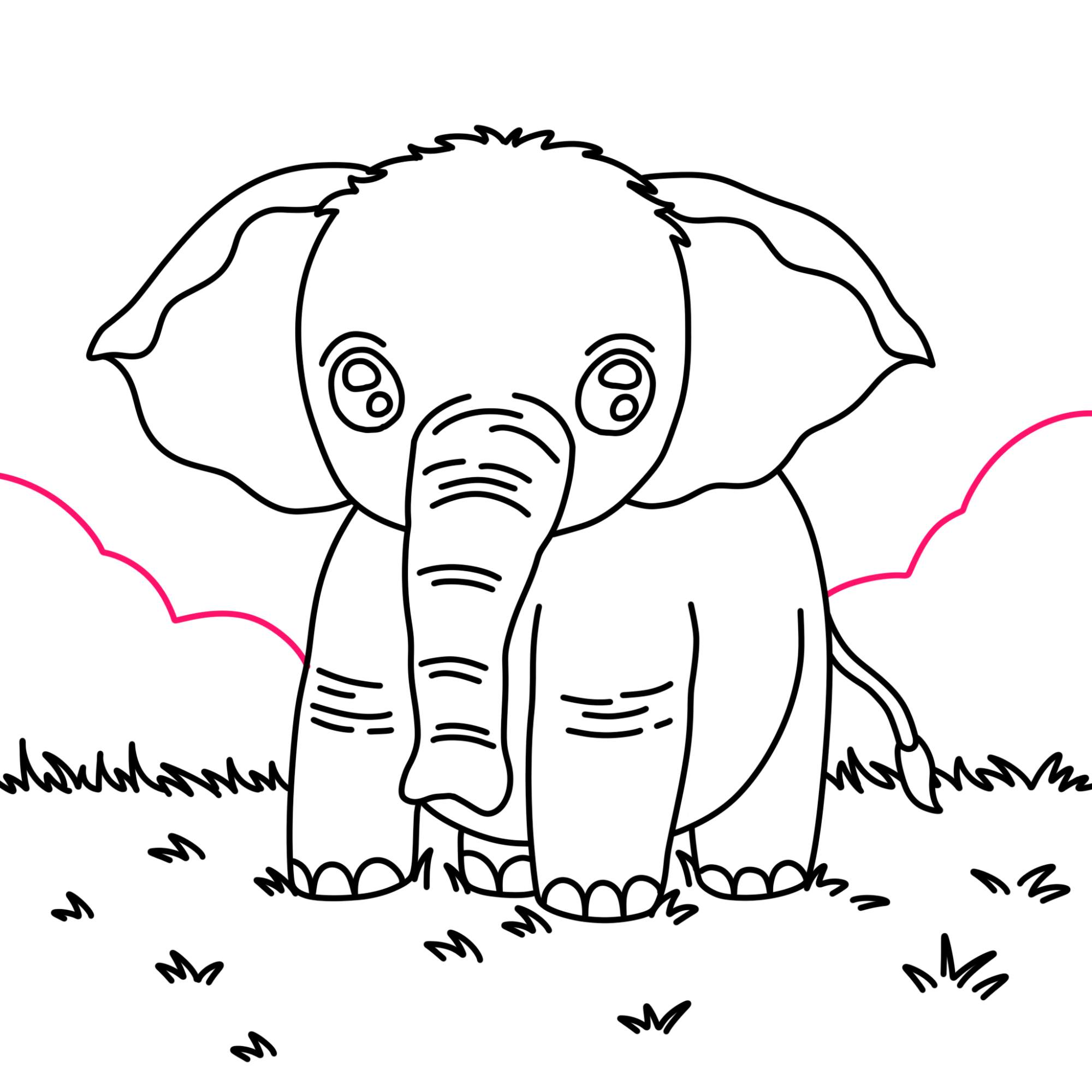 How to Draw a Baby Elephant - Step-11