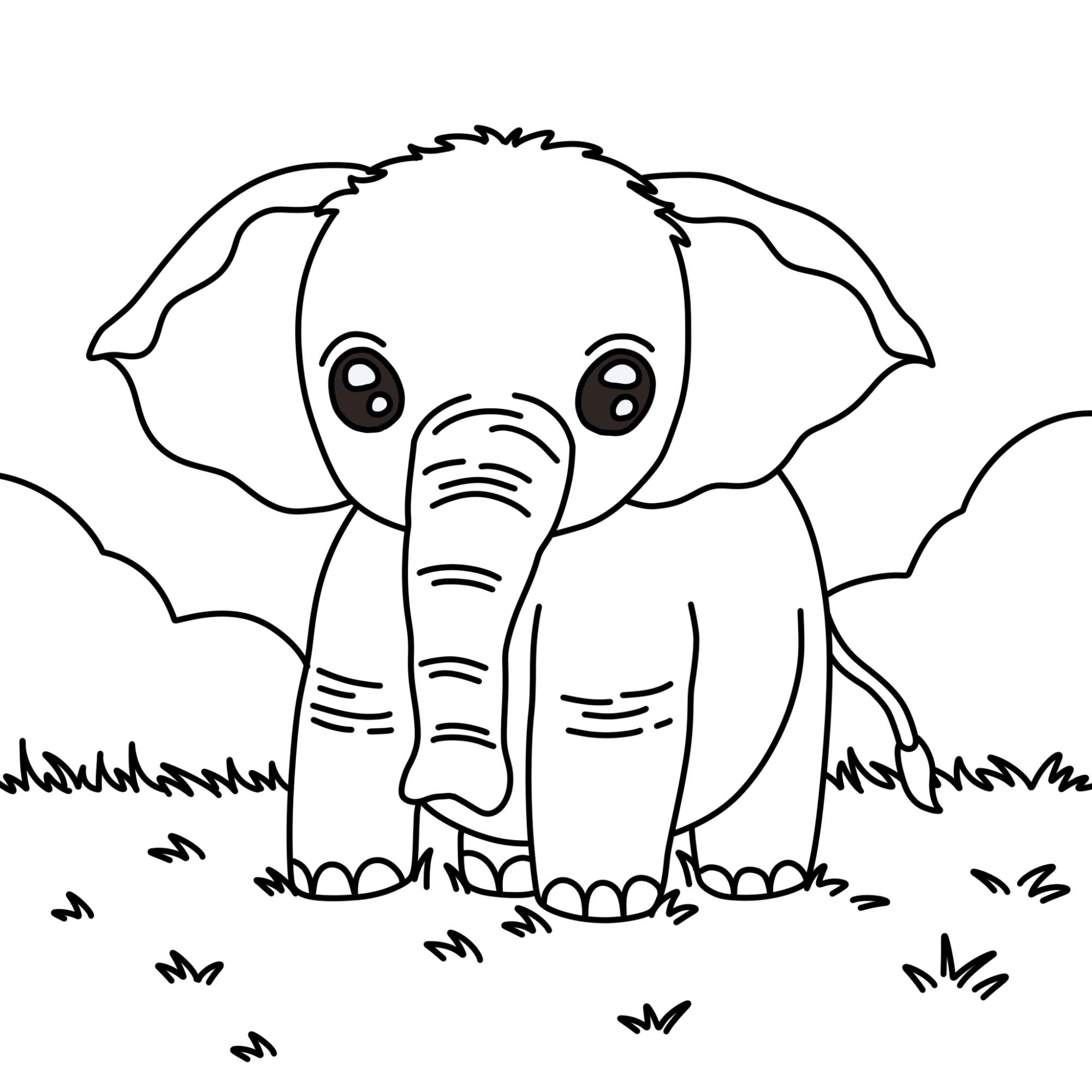 How to Draw a Baby Elephant - Step-12