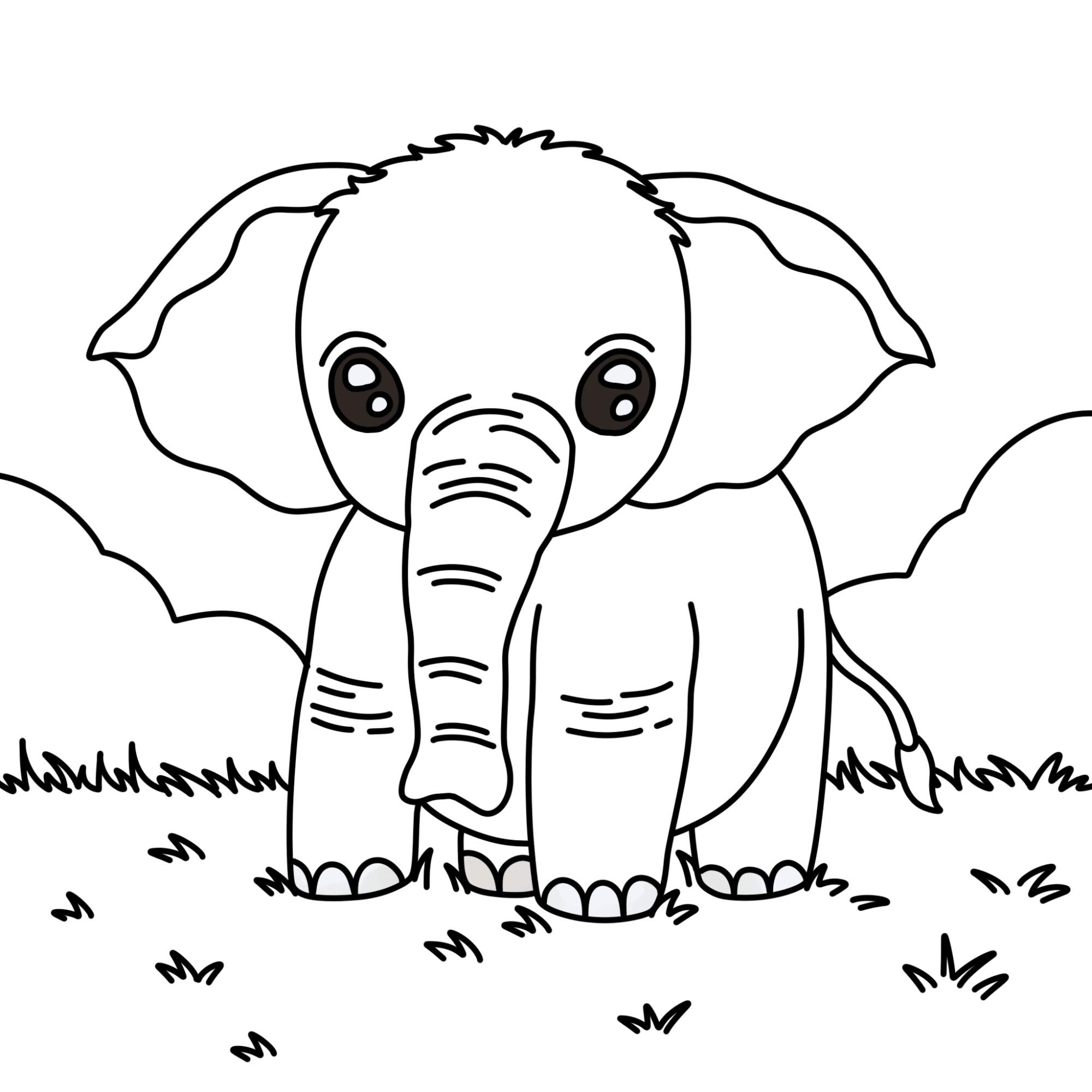 How to Draw a Baby Elephant - Step-13