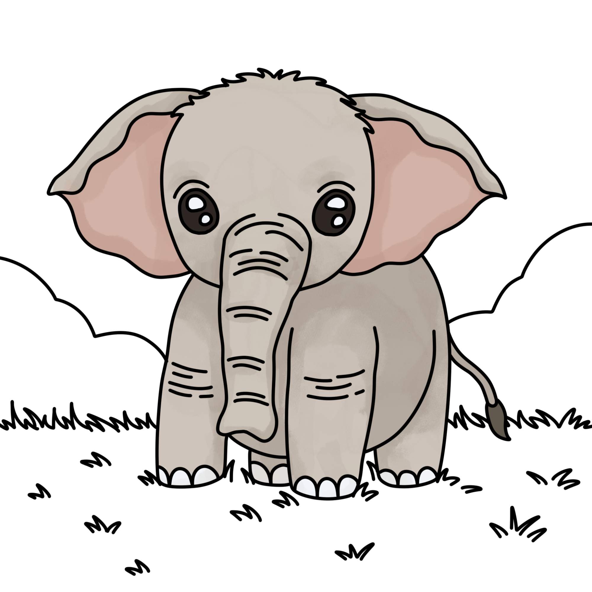 How to Draw a Baby Elephant - Step-14