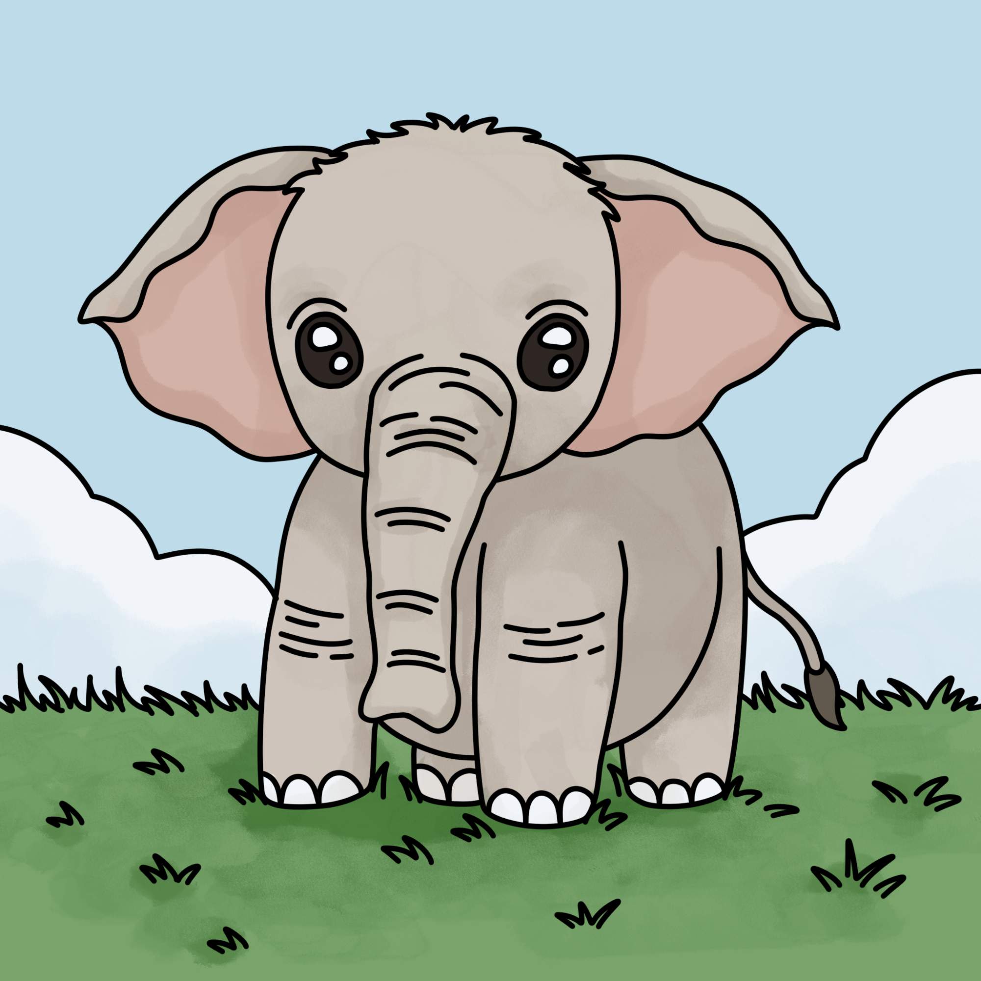 How to Draw a Baby Elephant - Step-15