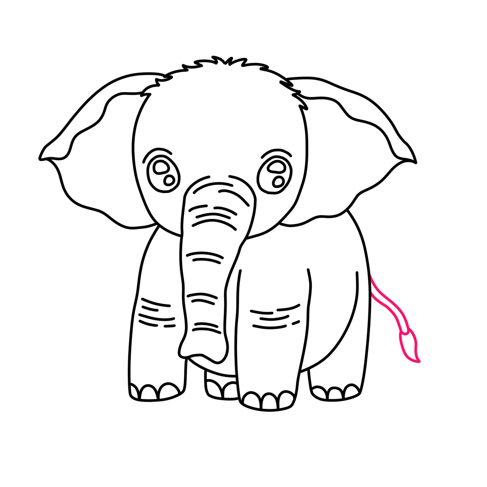 How to Draw a Baby Elephant - Step-9