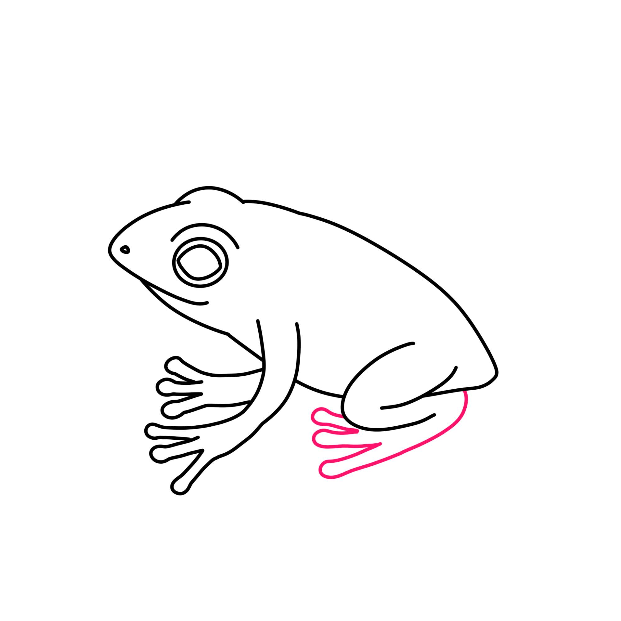 How to Draw a Baby Frog - Step-10