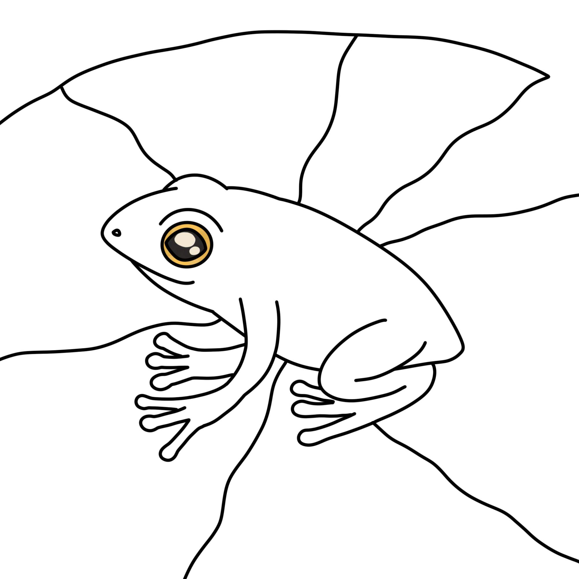 How to Draw a Baby Frog - Step-12