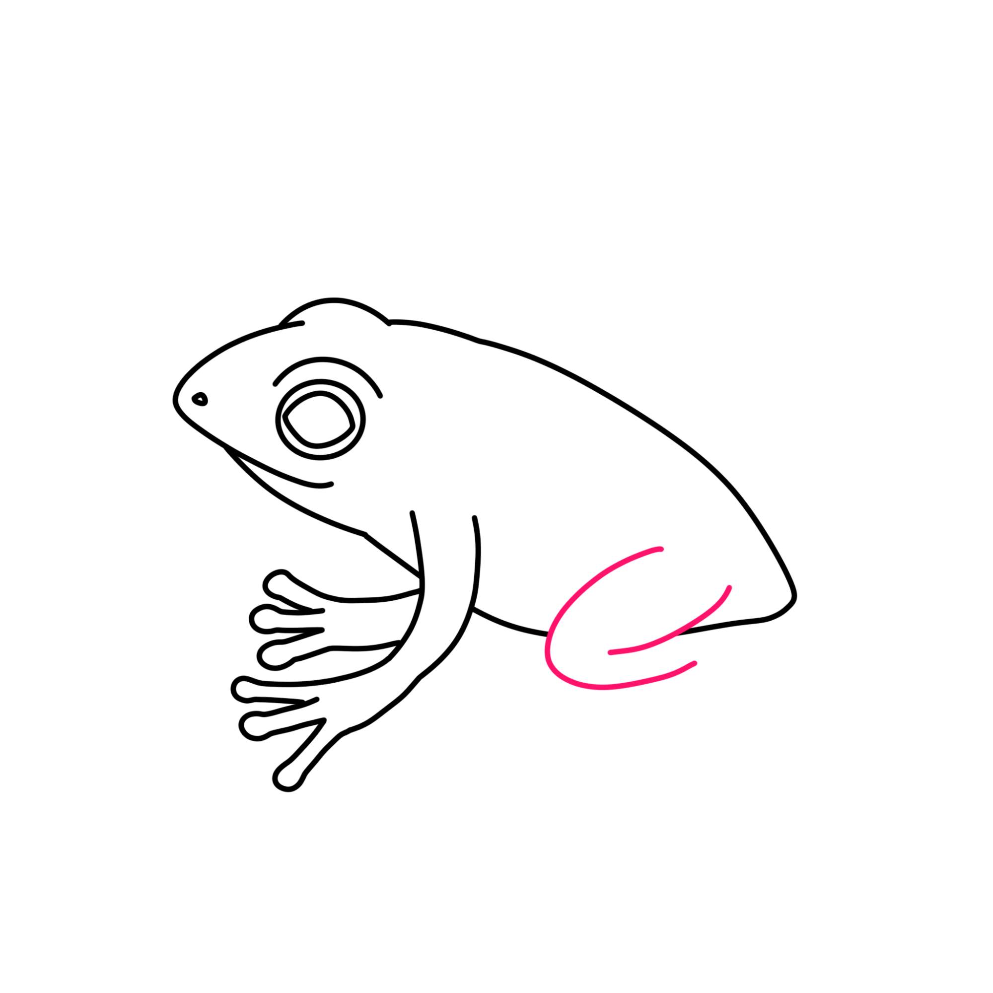 How to Draw a Baby Frog - Step-9