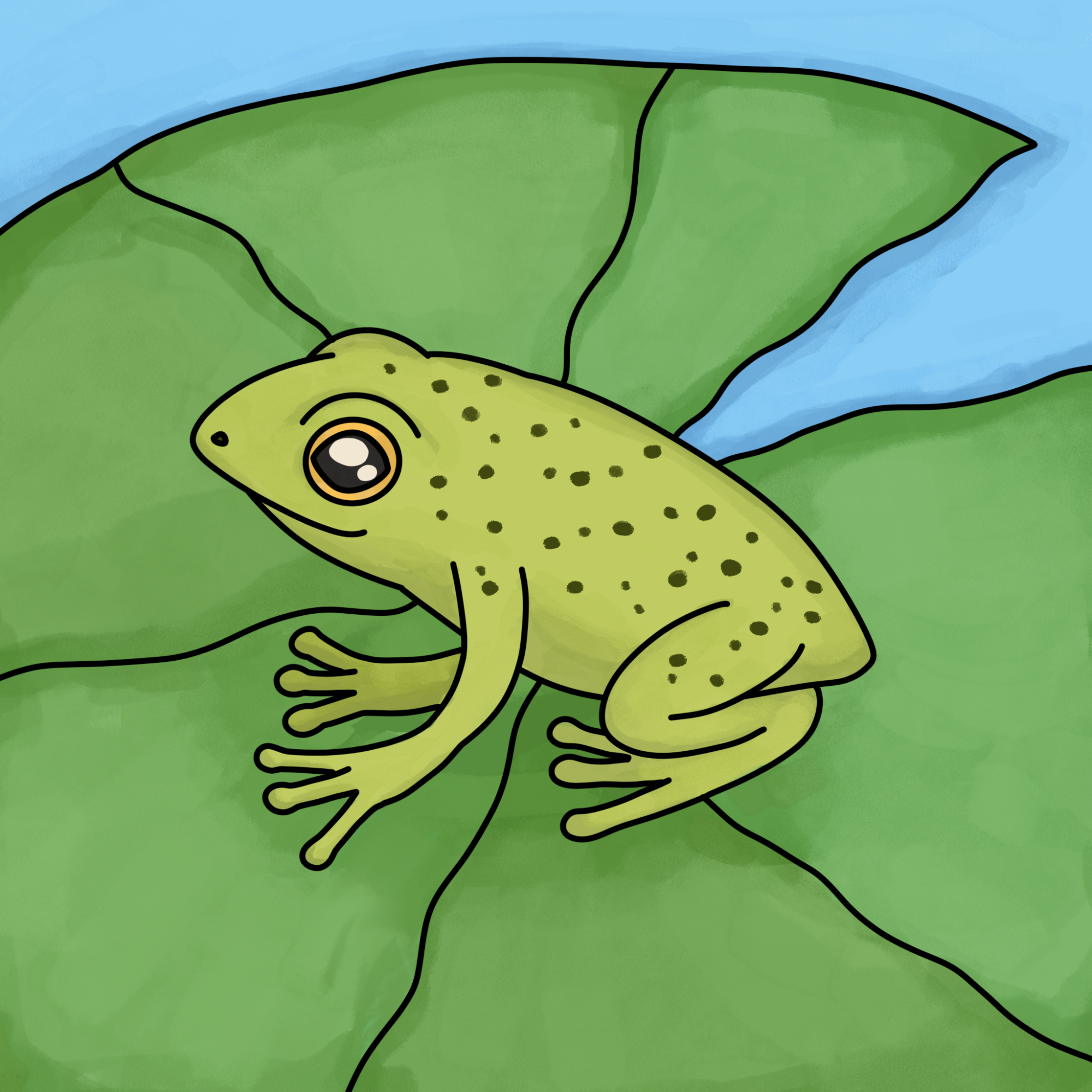 How to Draw a Baby Frog