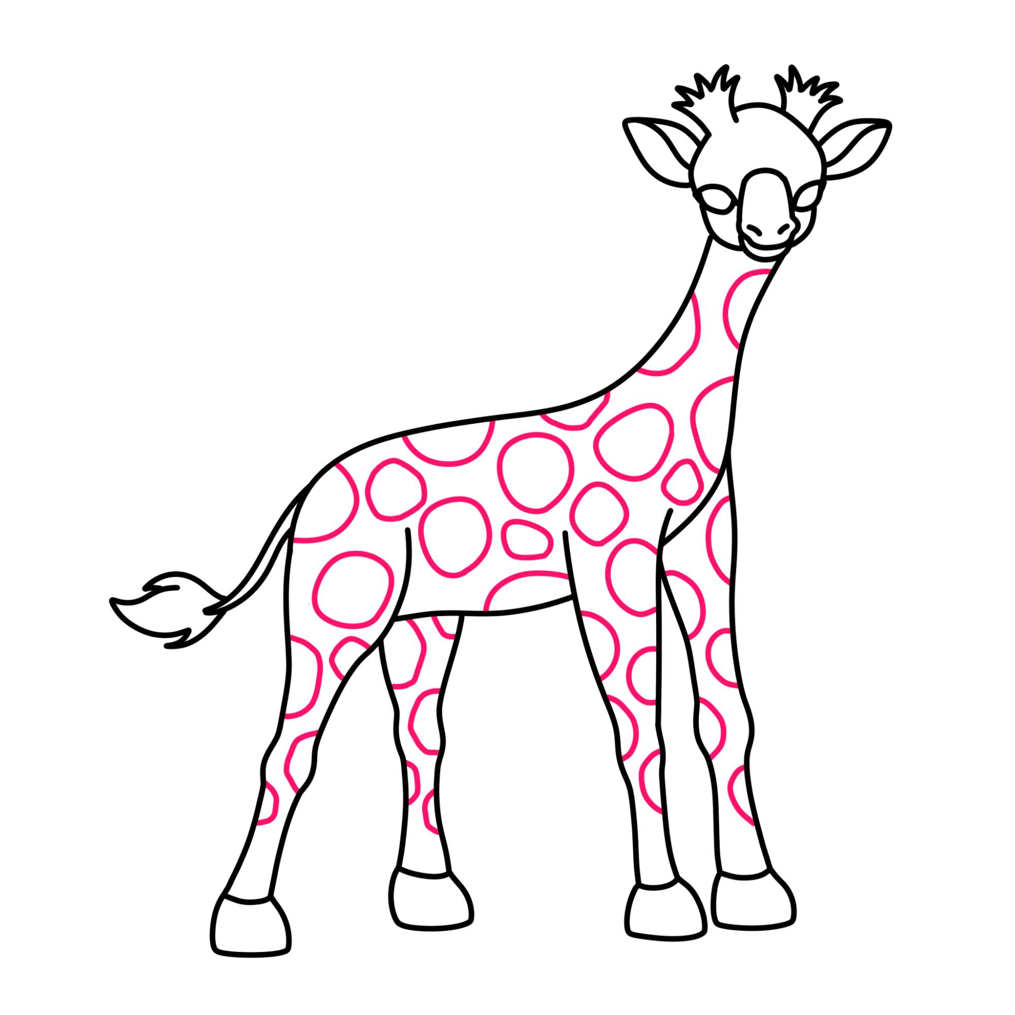 How to Draw a Baby Giraffe - Step-10