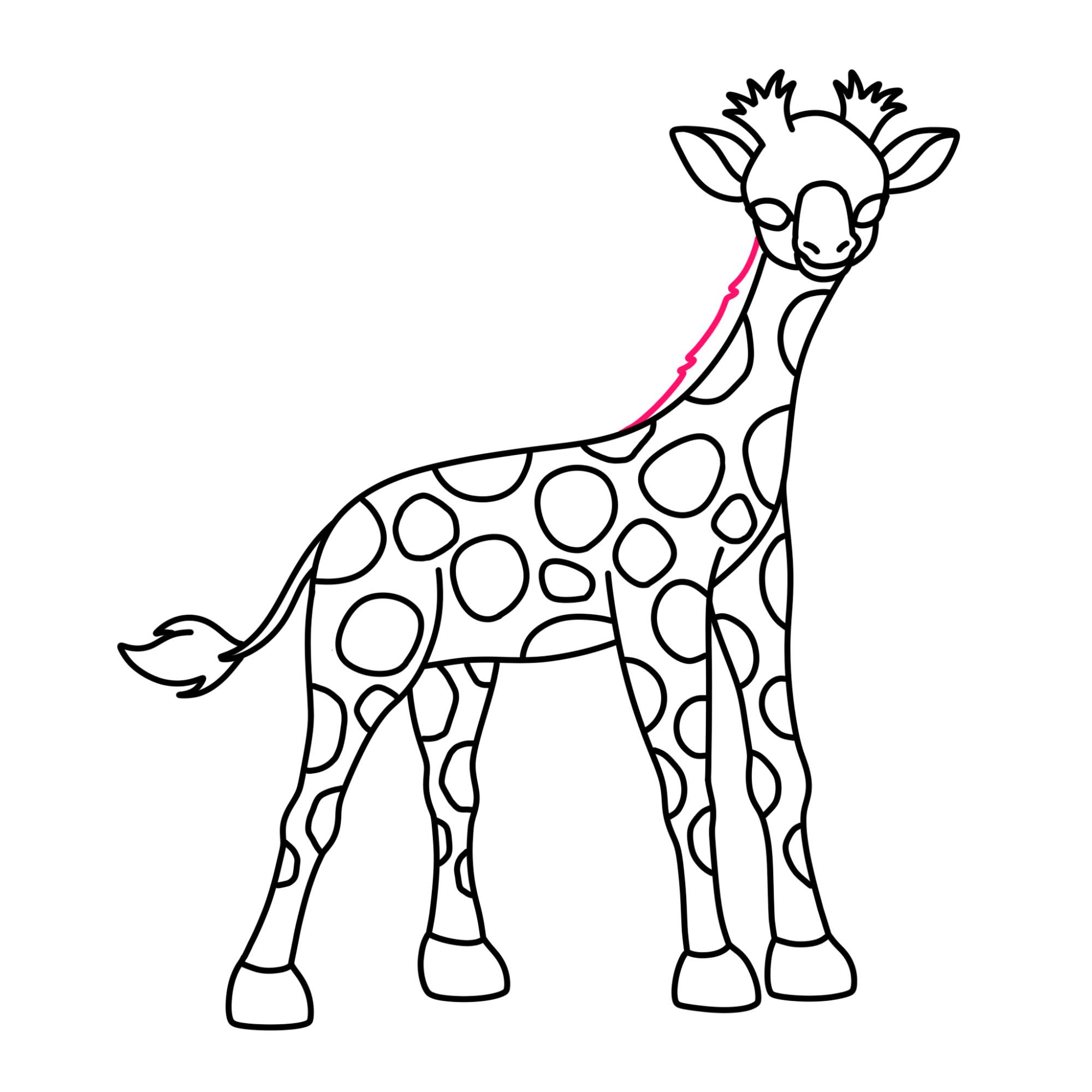 How to Draw a Baby Giraffe - Step-11