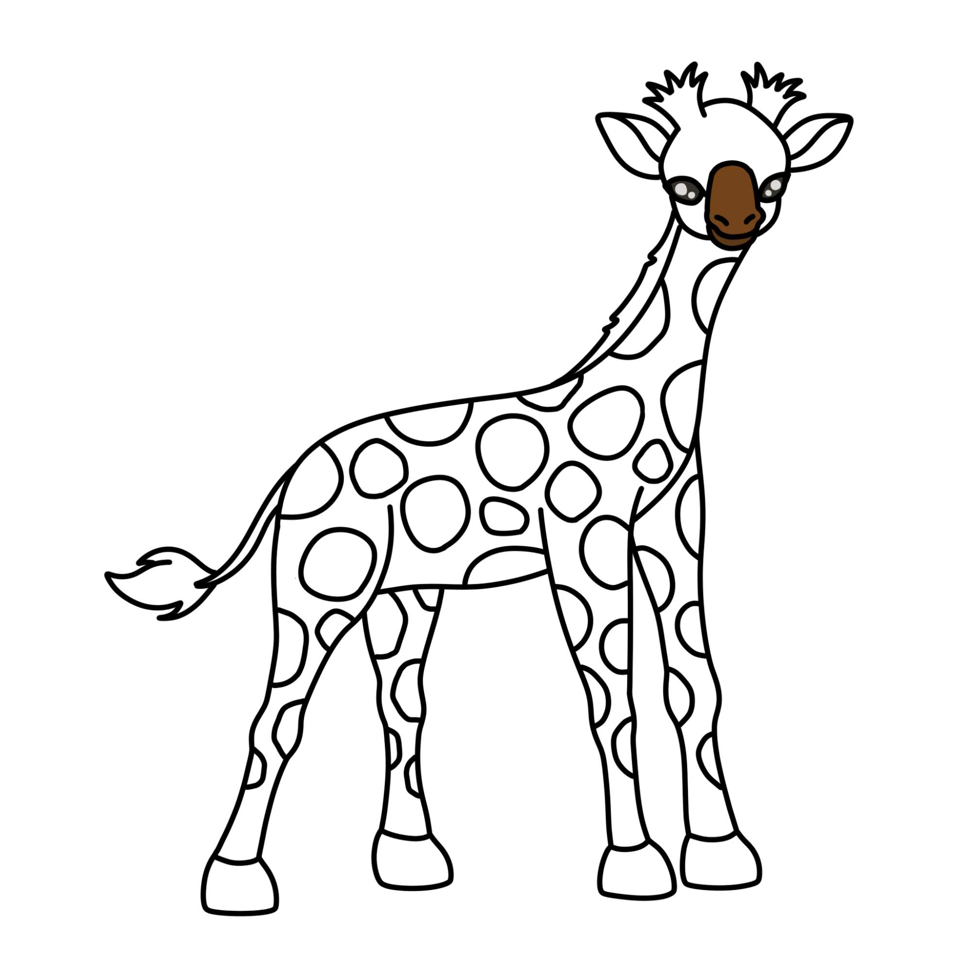 How to Draw a Baby Giraffe - Step-12