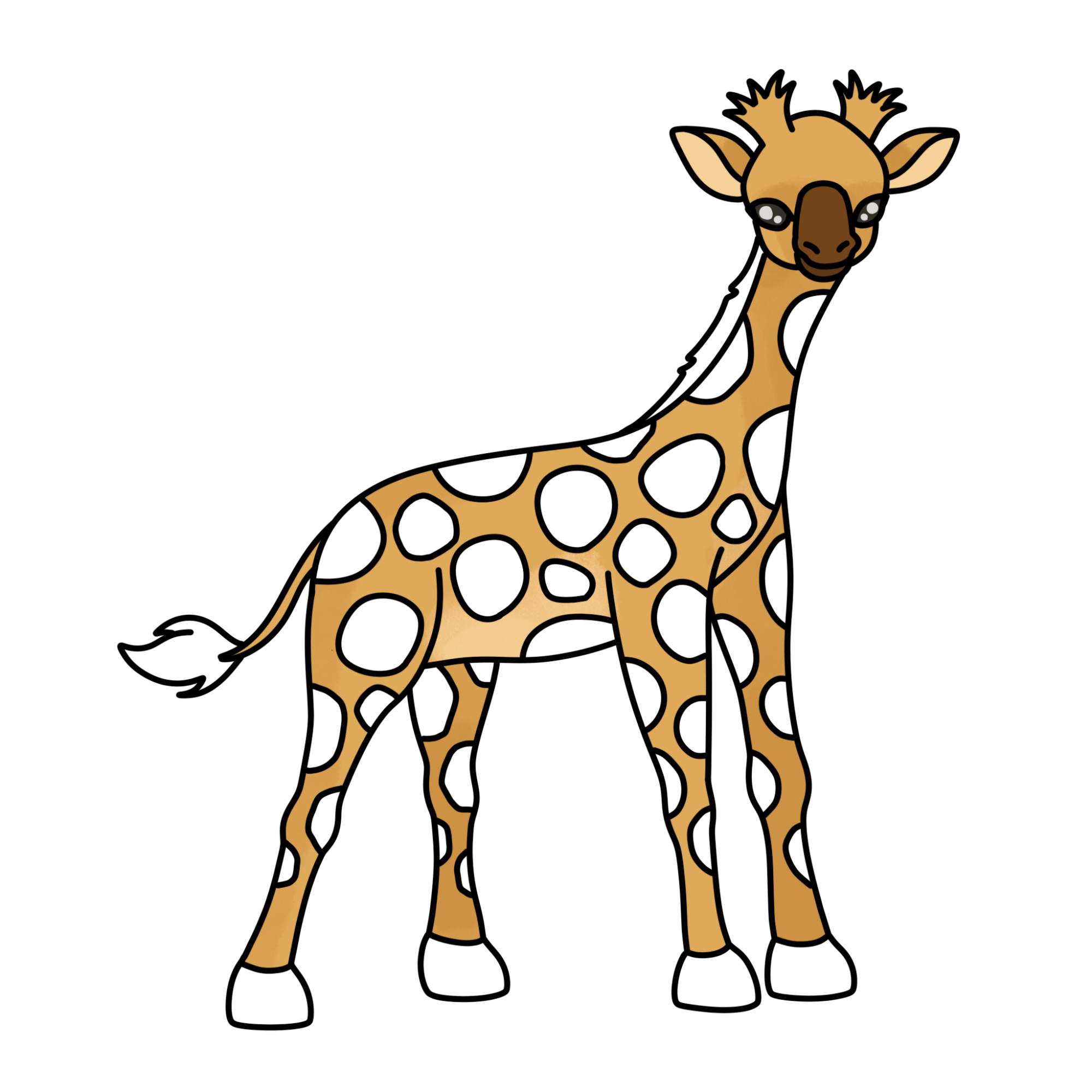 How to Draw a Baby Giraffe - Step-13