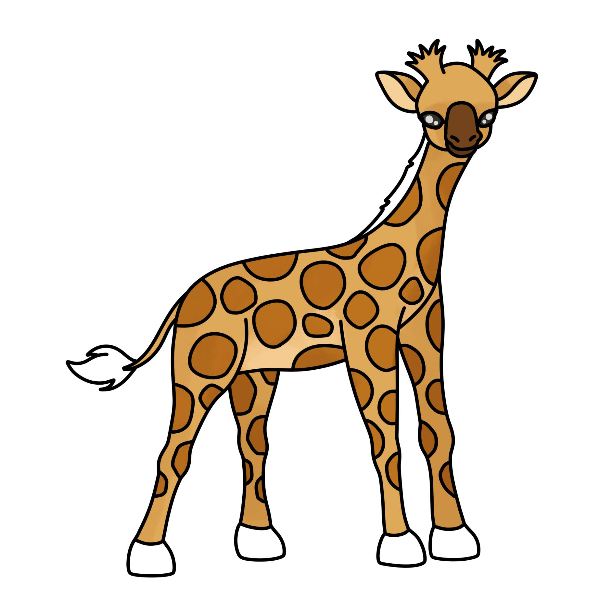 How to Draw a Baby Giraffe - Step-14