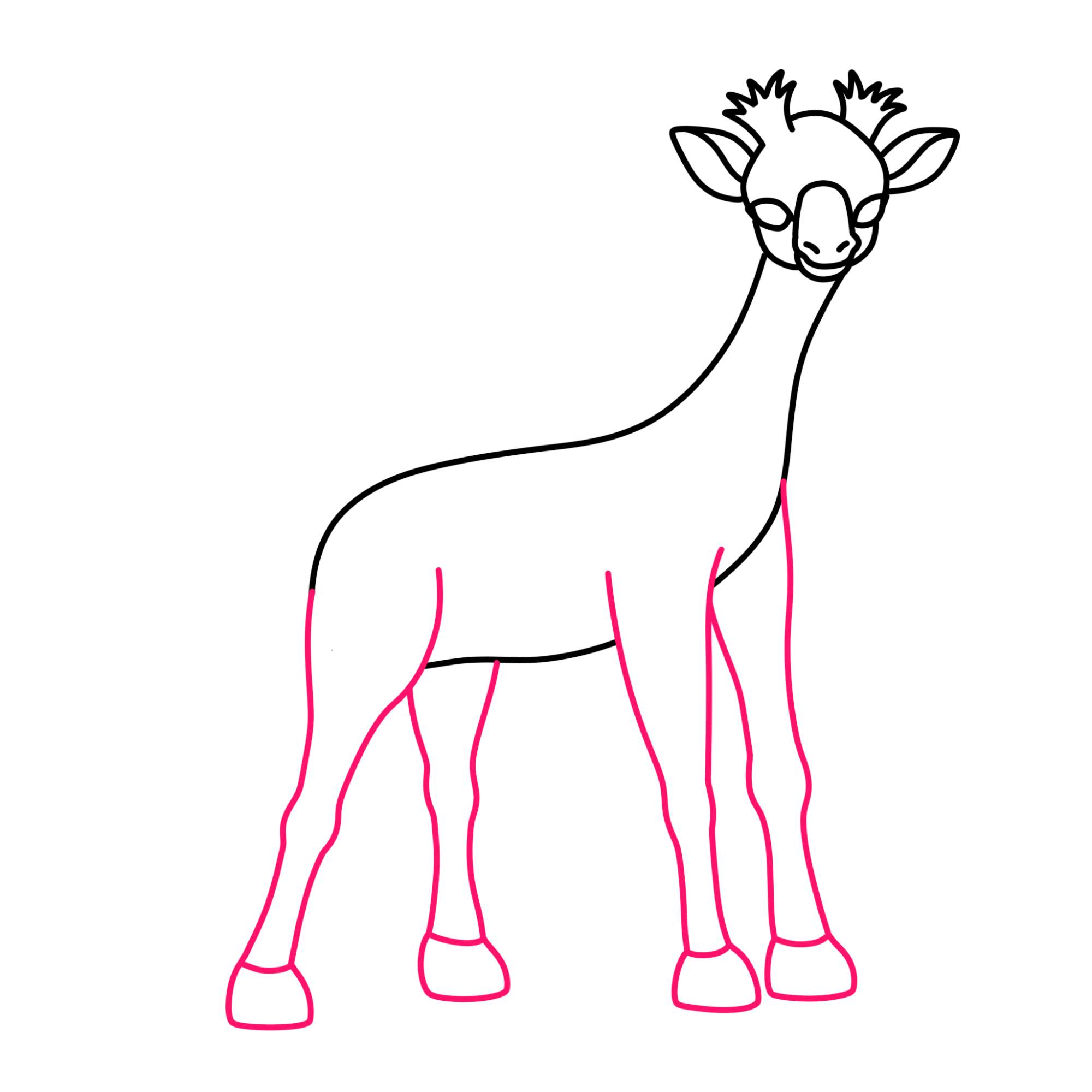 How to Draw a Baby Giraffe - Step-8