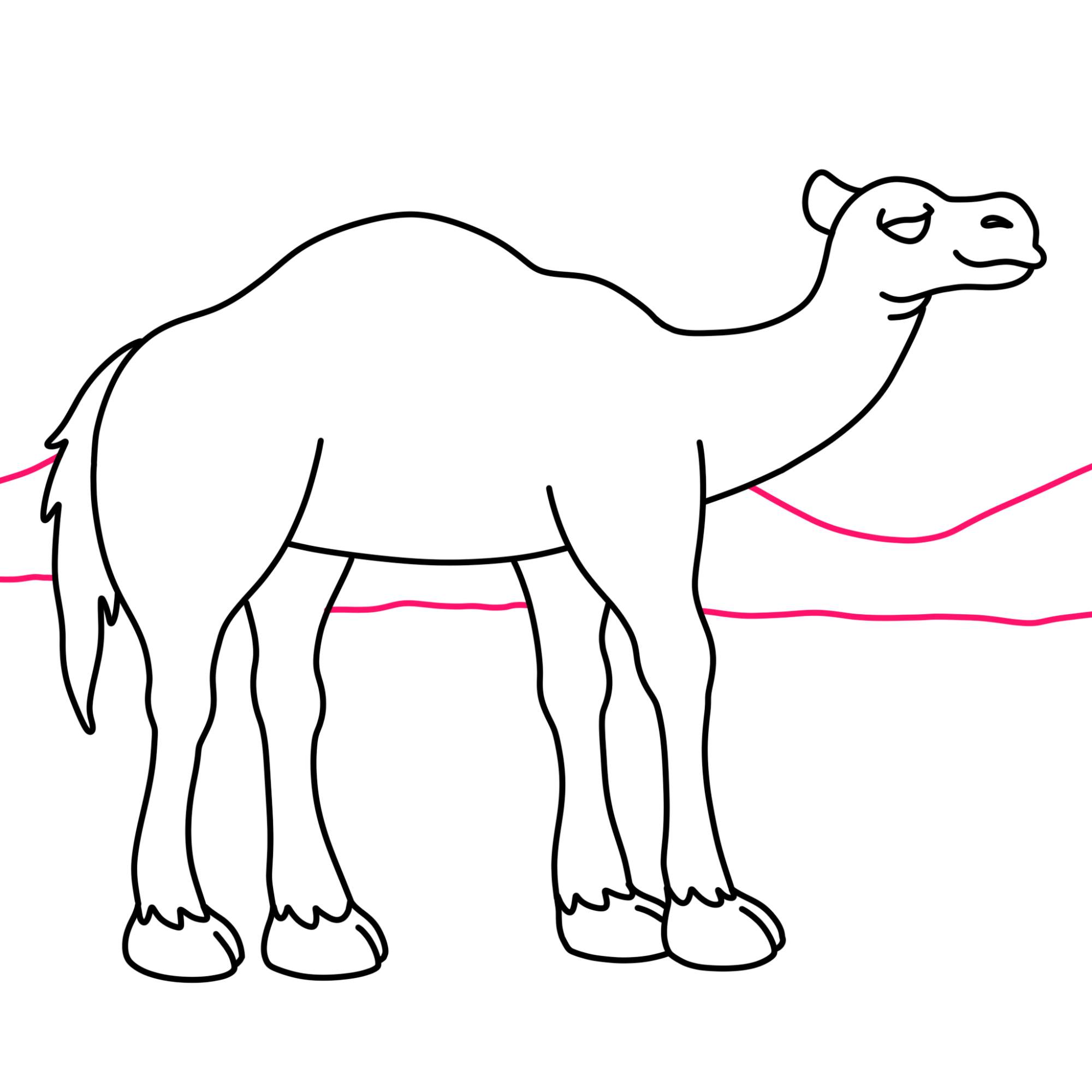 How to Draw a Camel - Step-10