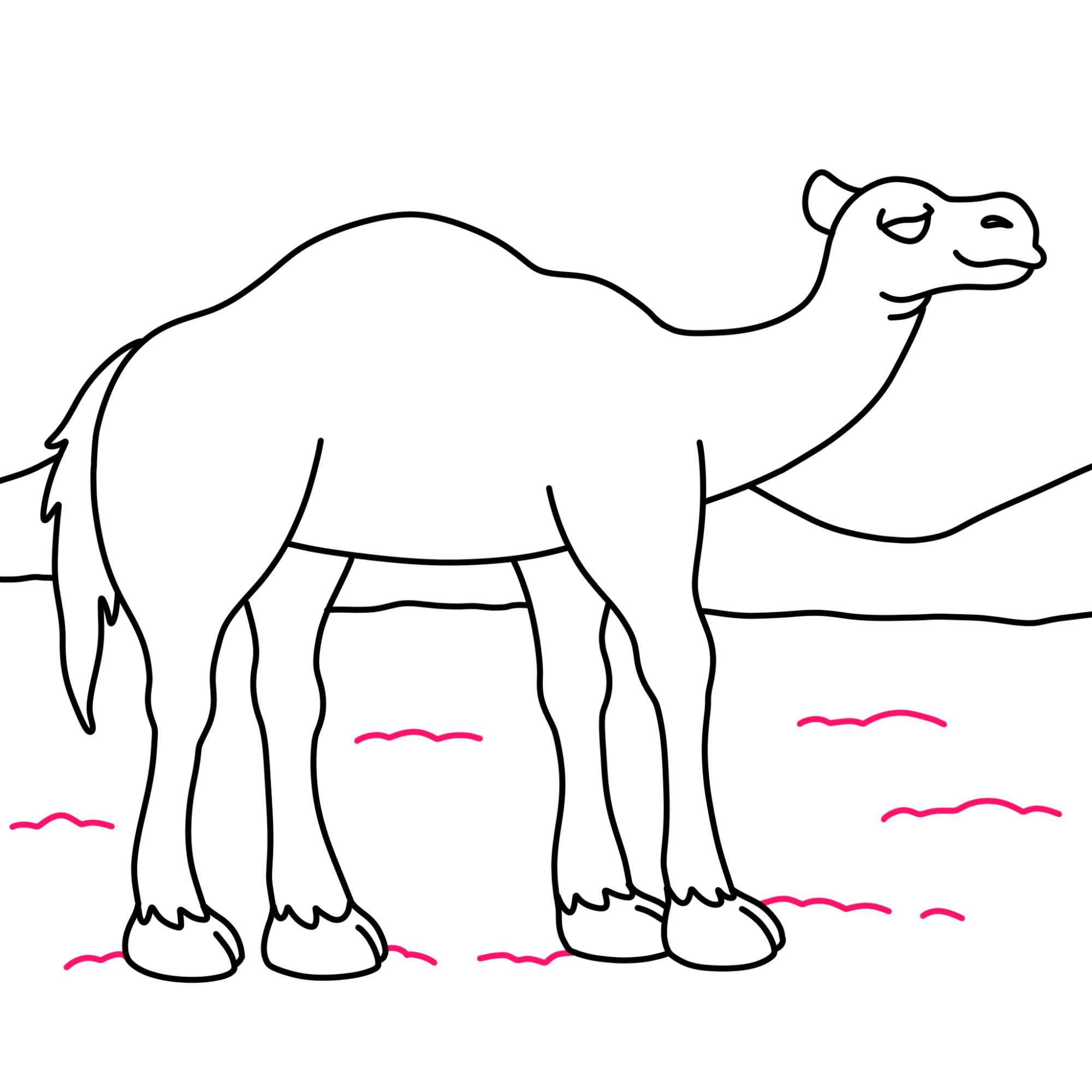 How to Draw a Camel - Step-11