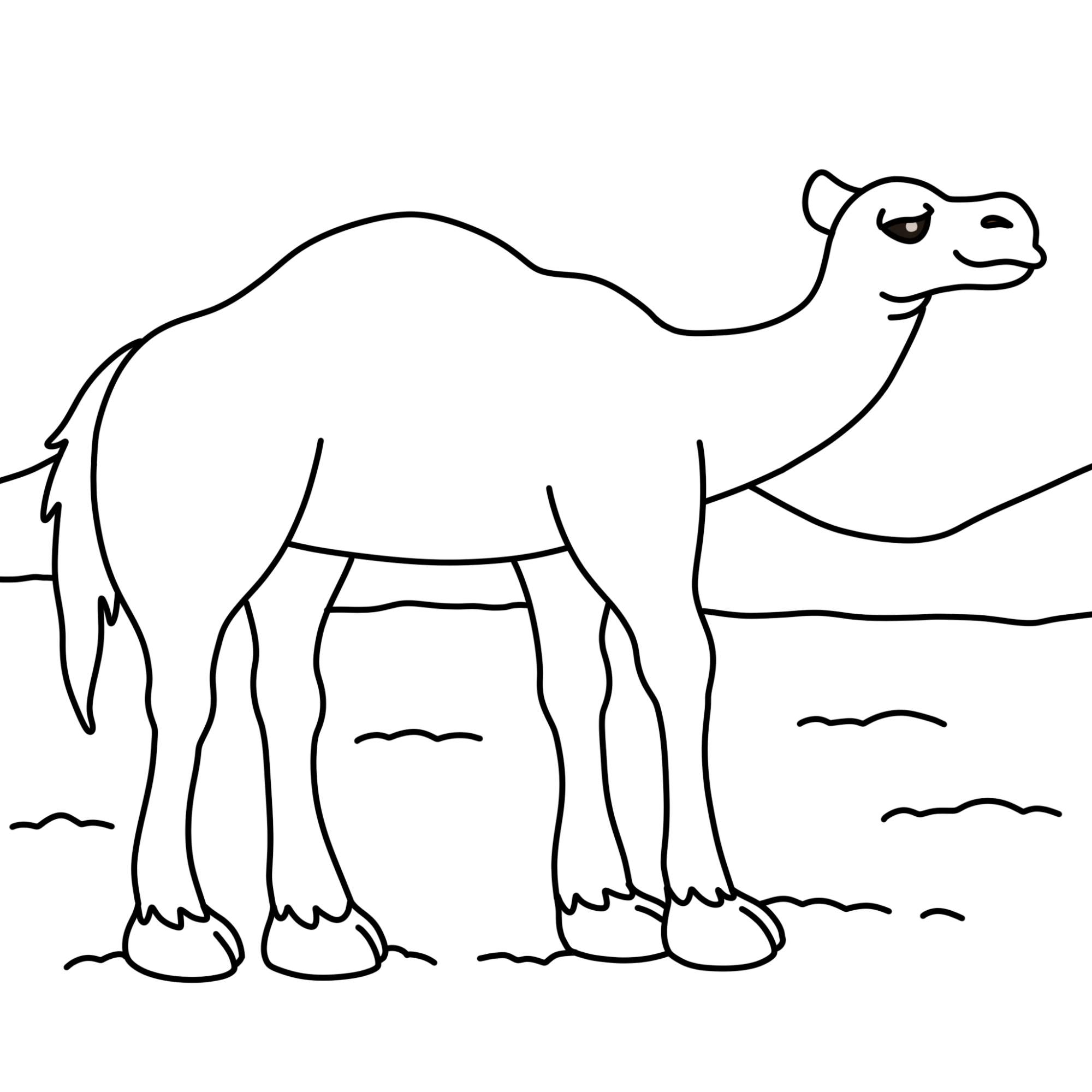 How to Draw a Camel - Step-12