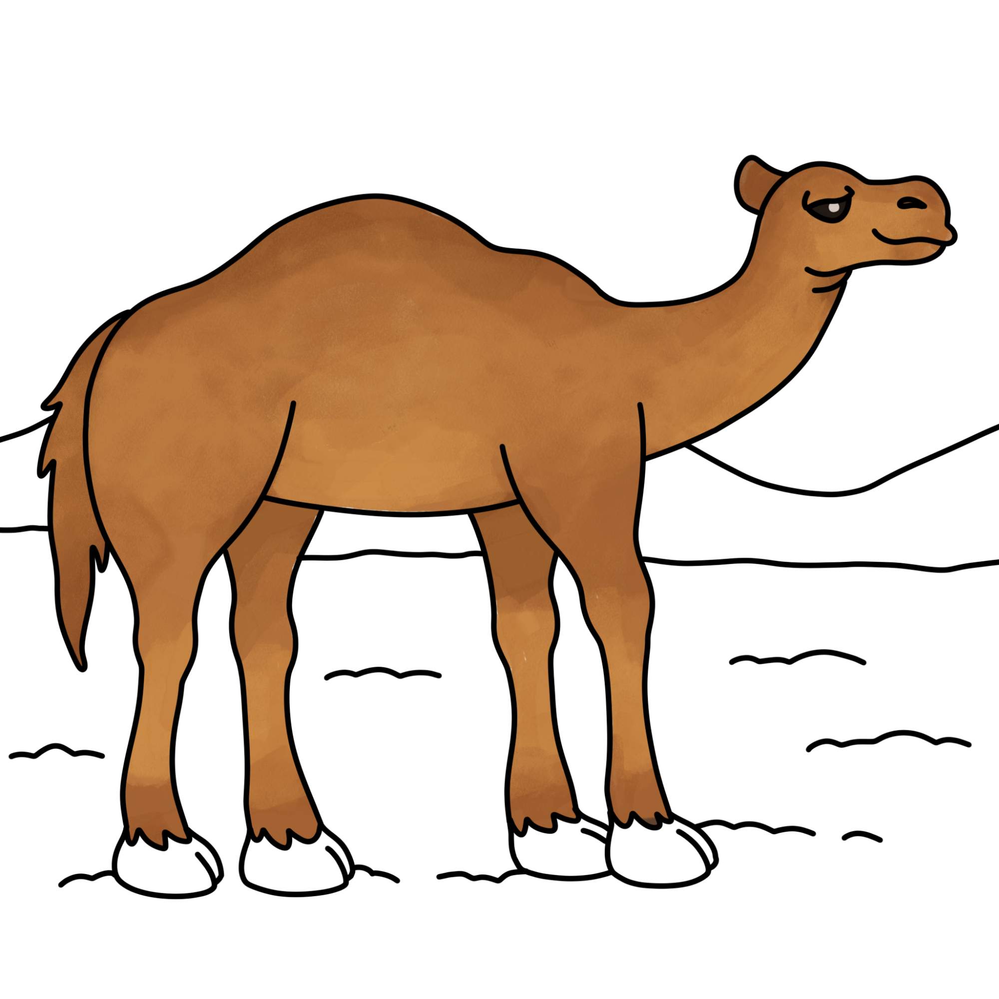 How to Draw a Camel - Step-13