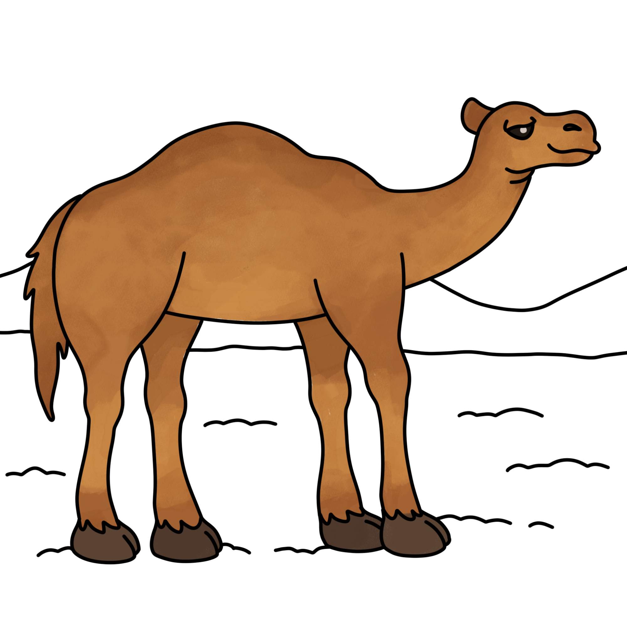 How to Draw a Camel - Step-14