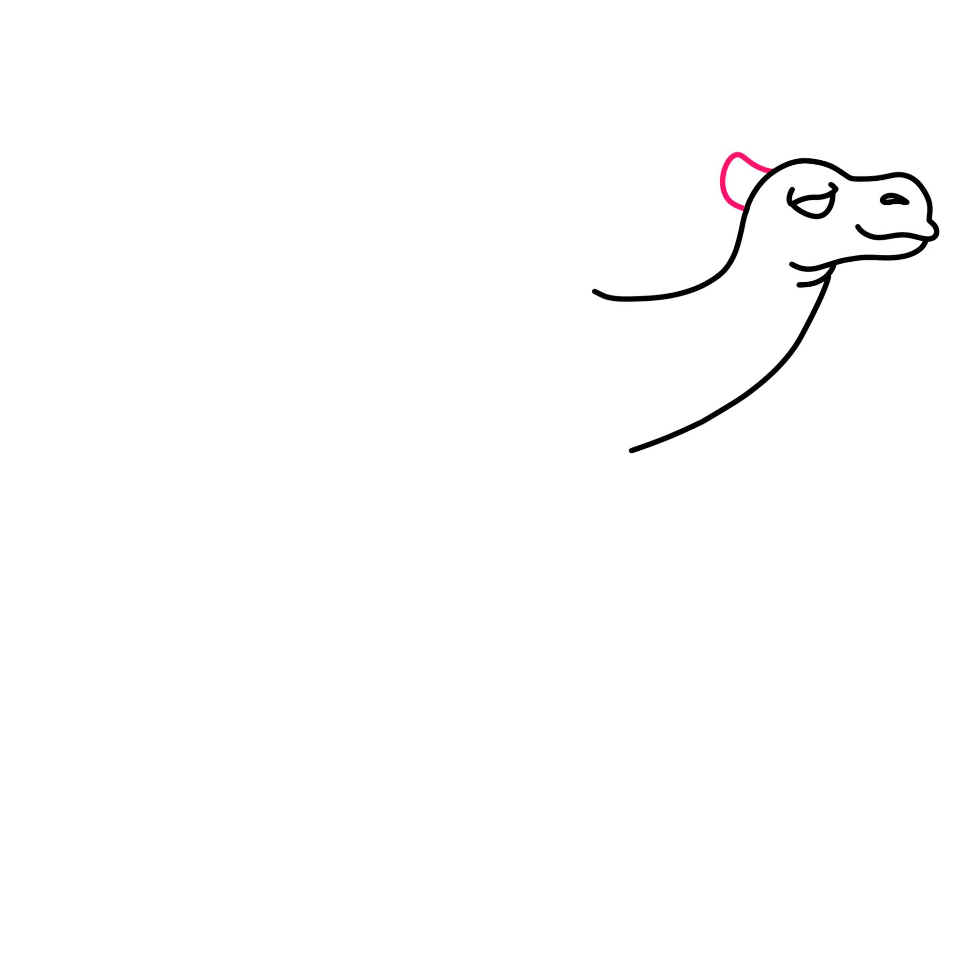 How to Draw a Camel - Step-6