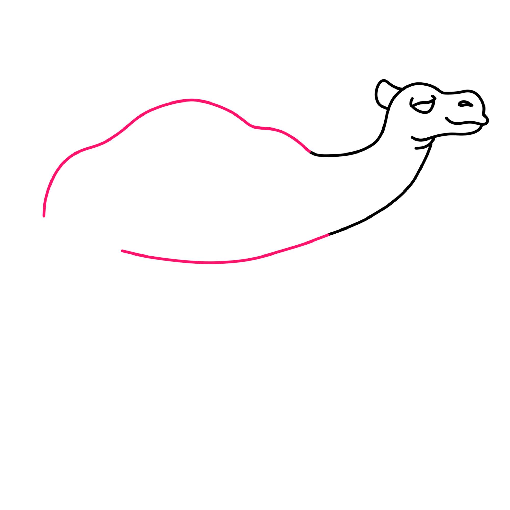 How to Draw a Camel - Step-7