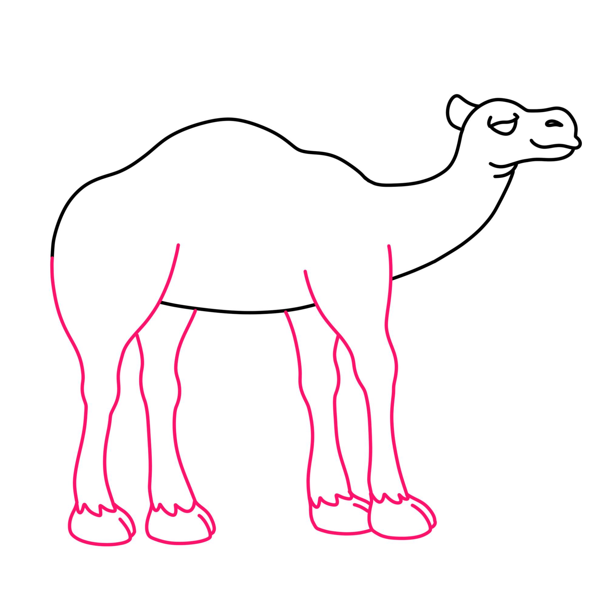 How to Draw a Camel - Step-8