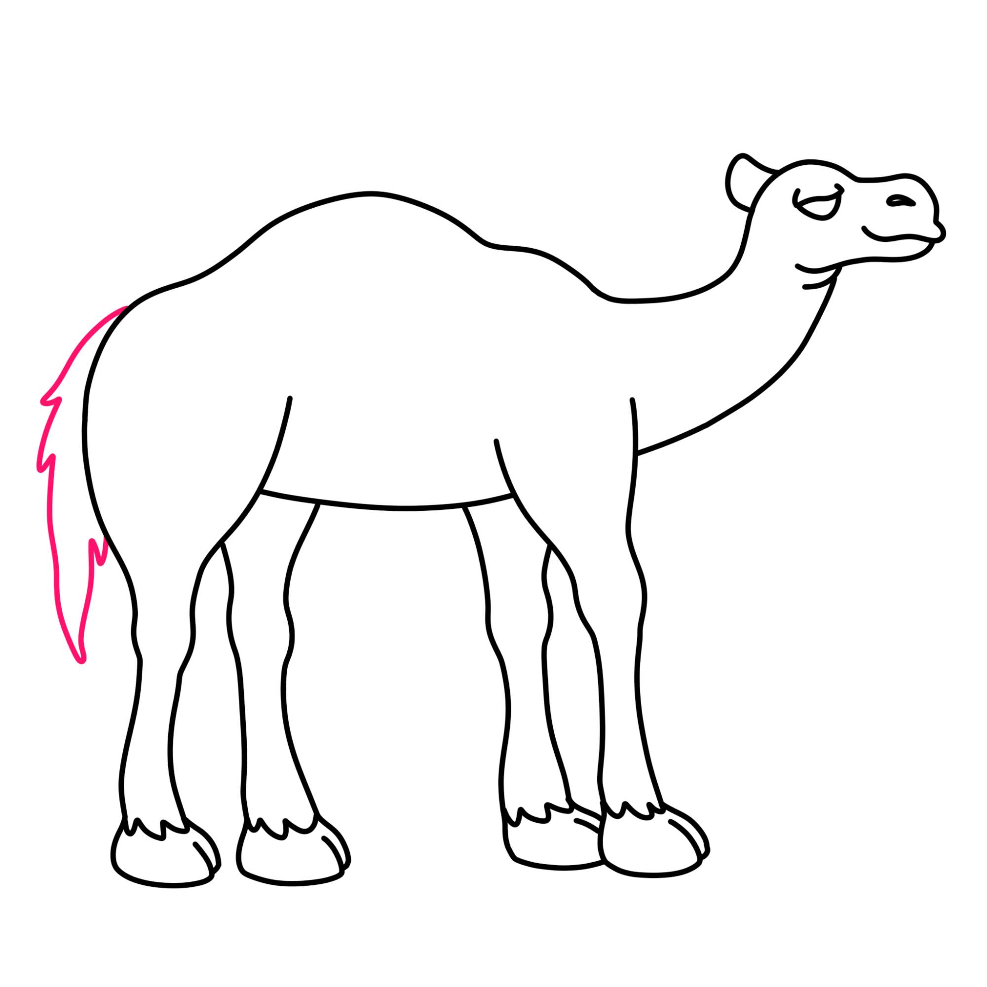 How to Draw a Camel - Step-9