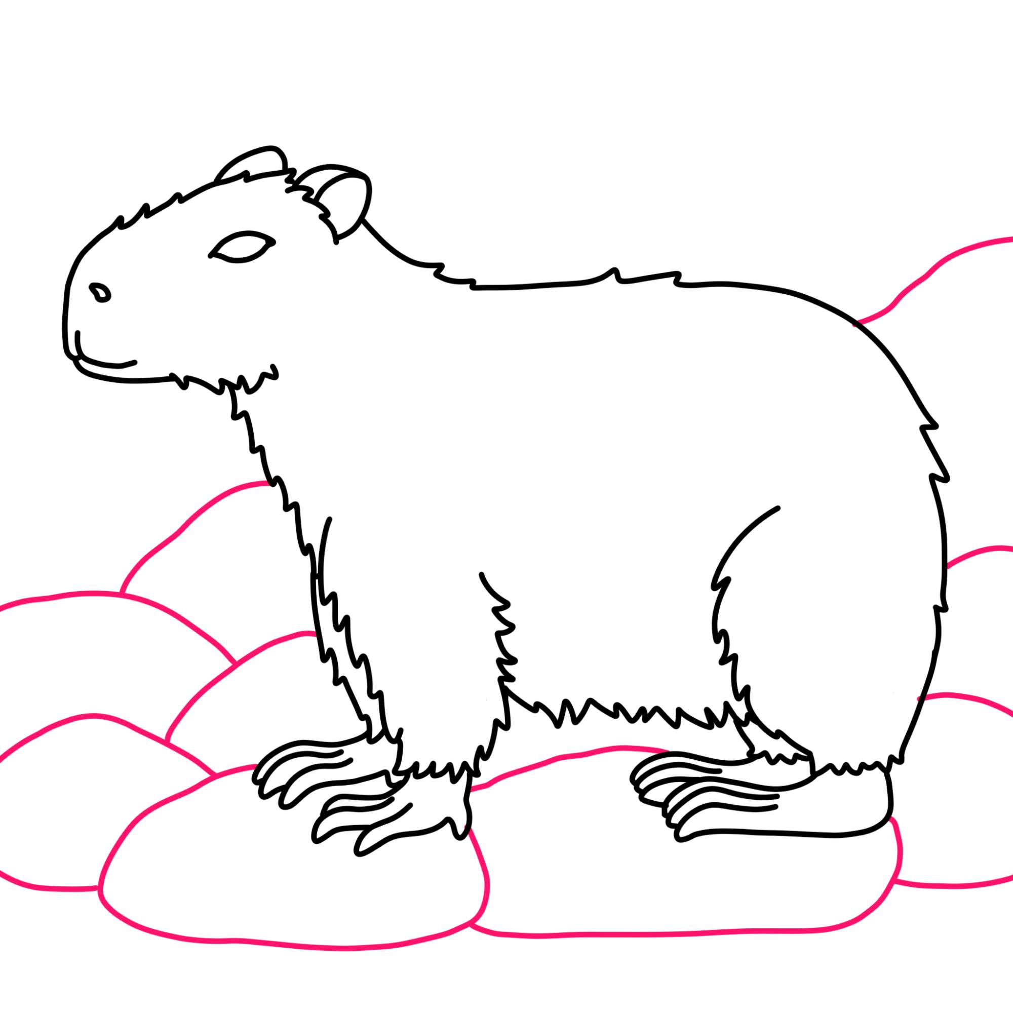 How to Draw a Capybara - Step-10