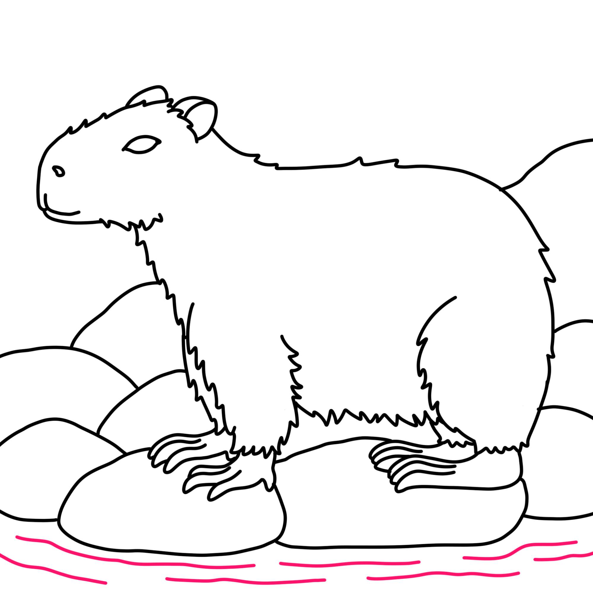 How to Draw a Capybara - Step-11