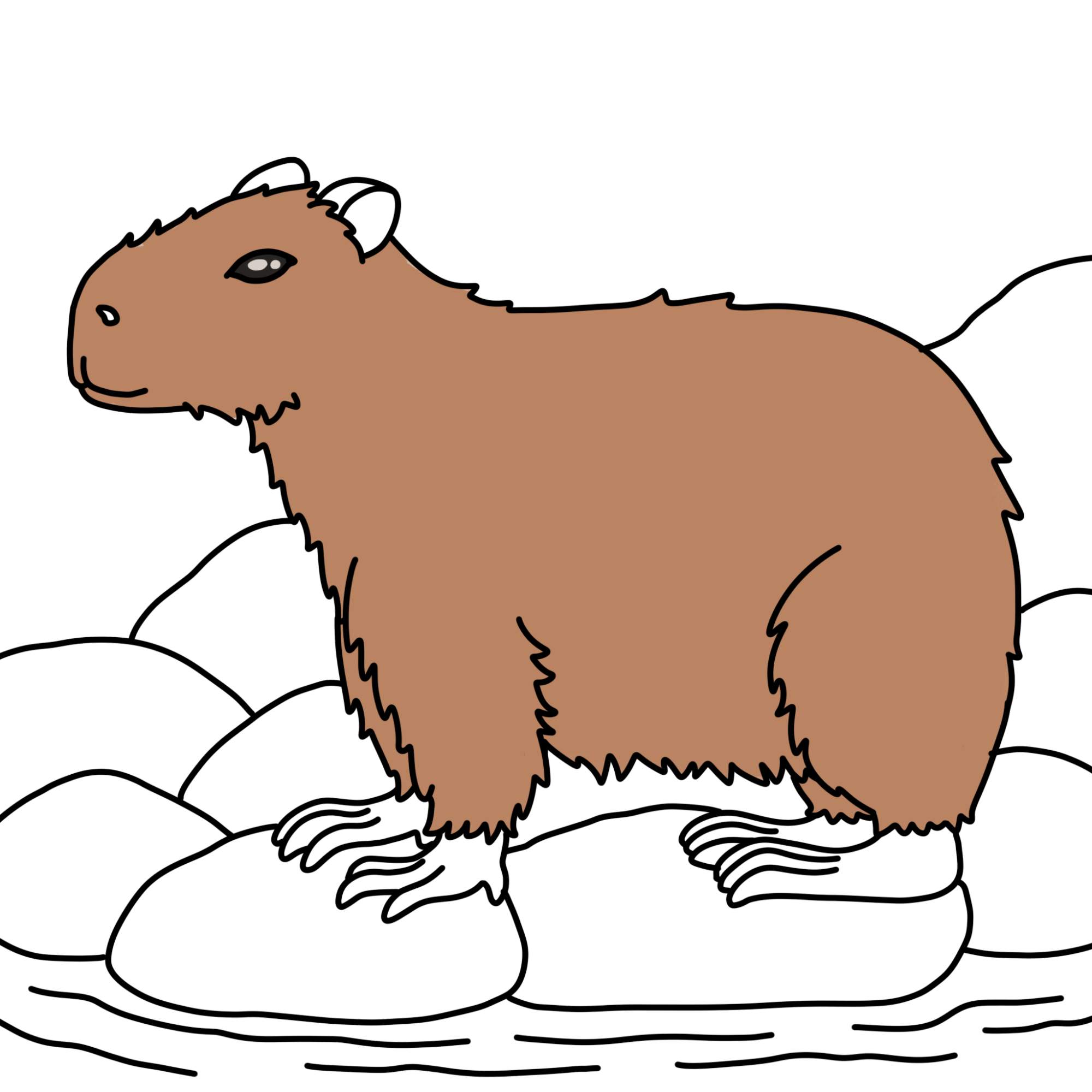 How to Draw a Capybara - Step-12