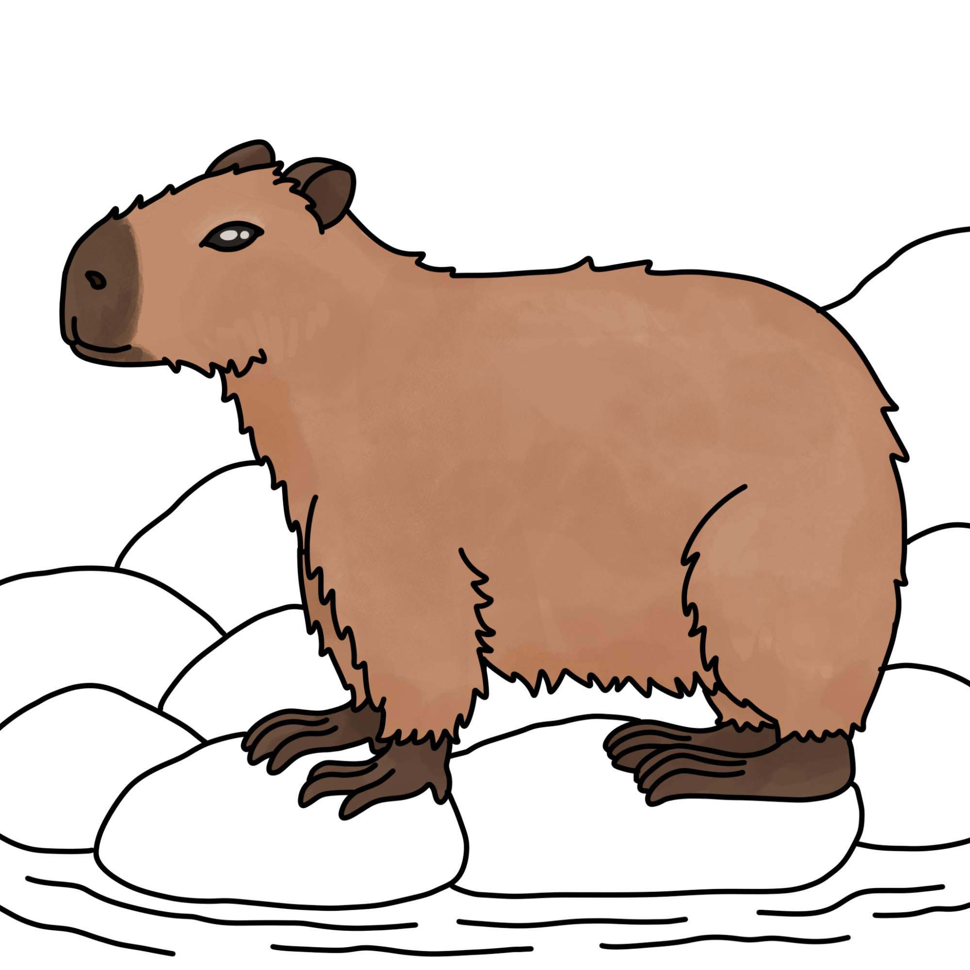 How to Draw a Capybara - Step-13