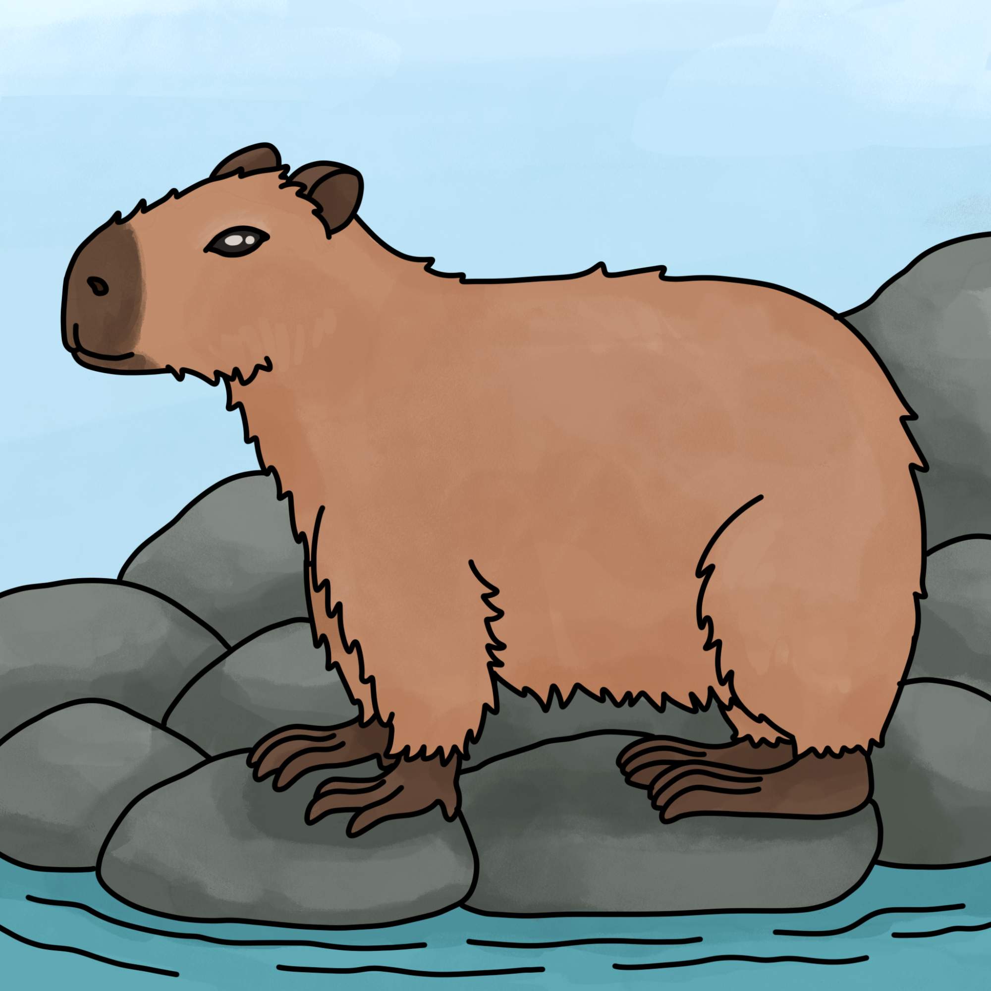 How to Draw a Capybara - Step-15