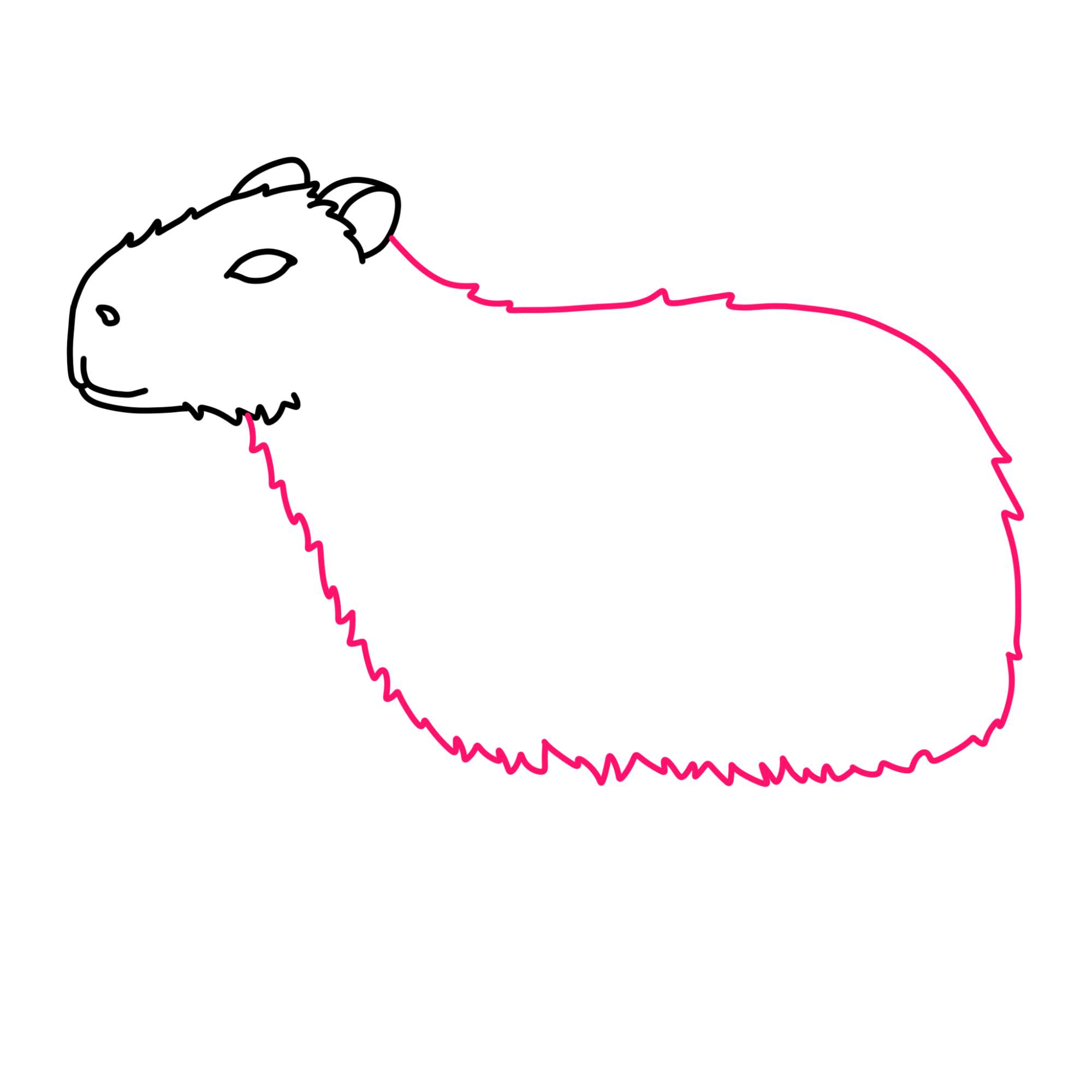 How to Draw a Capybara - Step-6