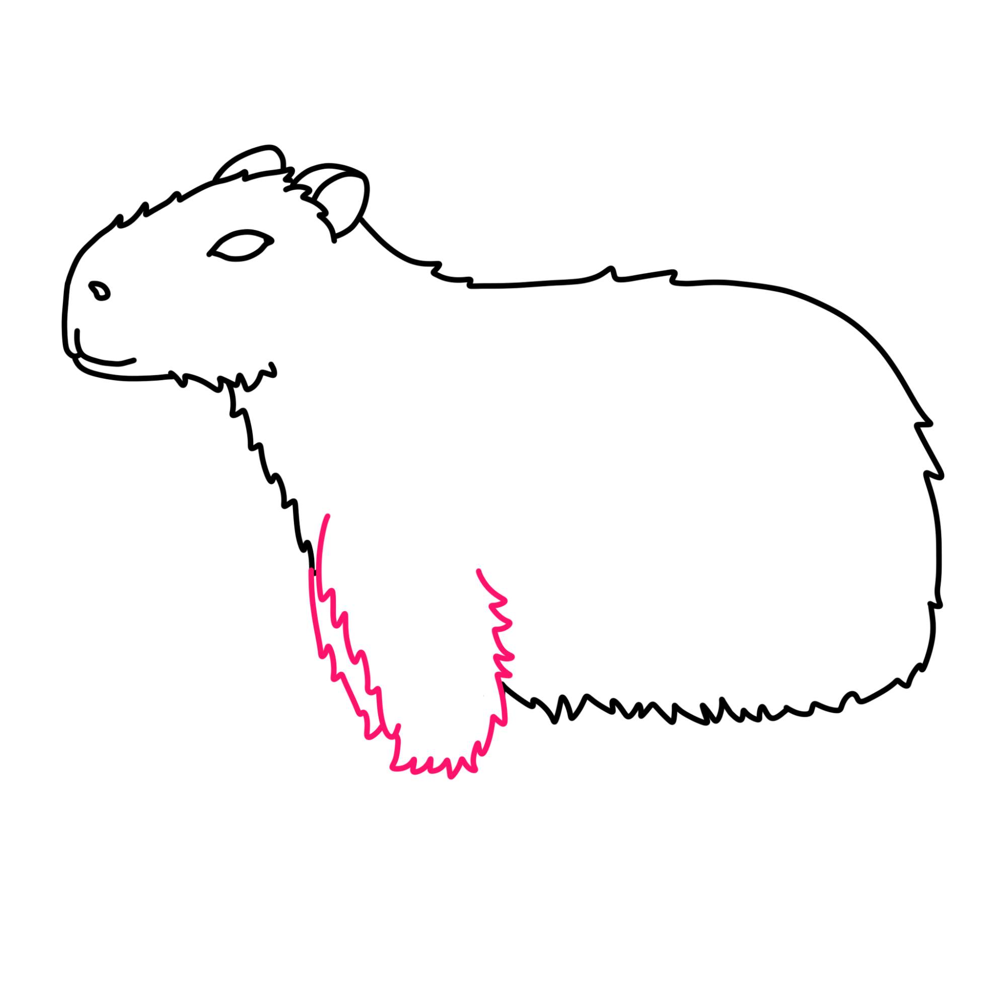 How to Draw a Capybara - Step-7