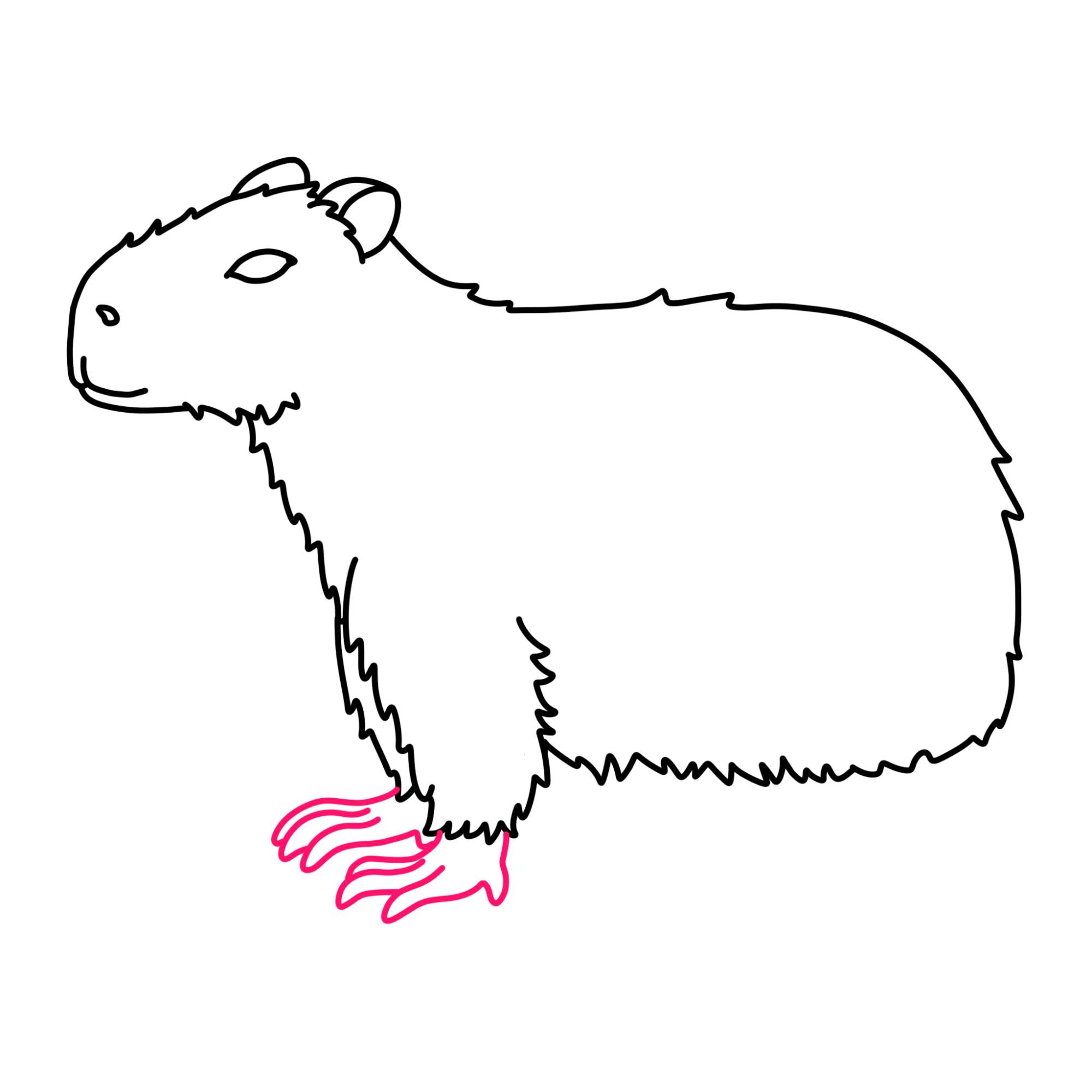 How to Draw a Capybara - Step-8