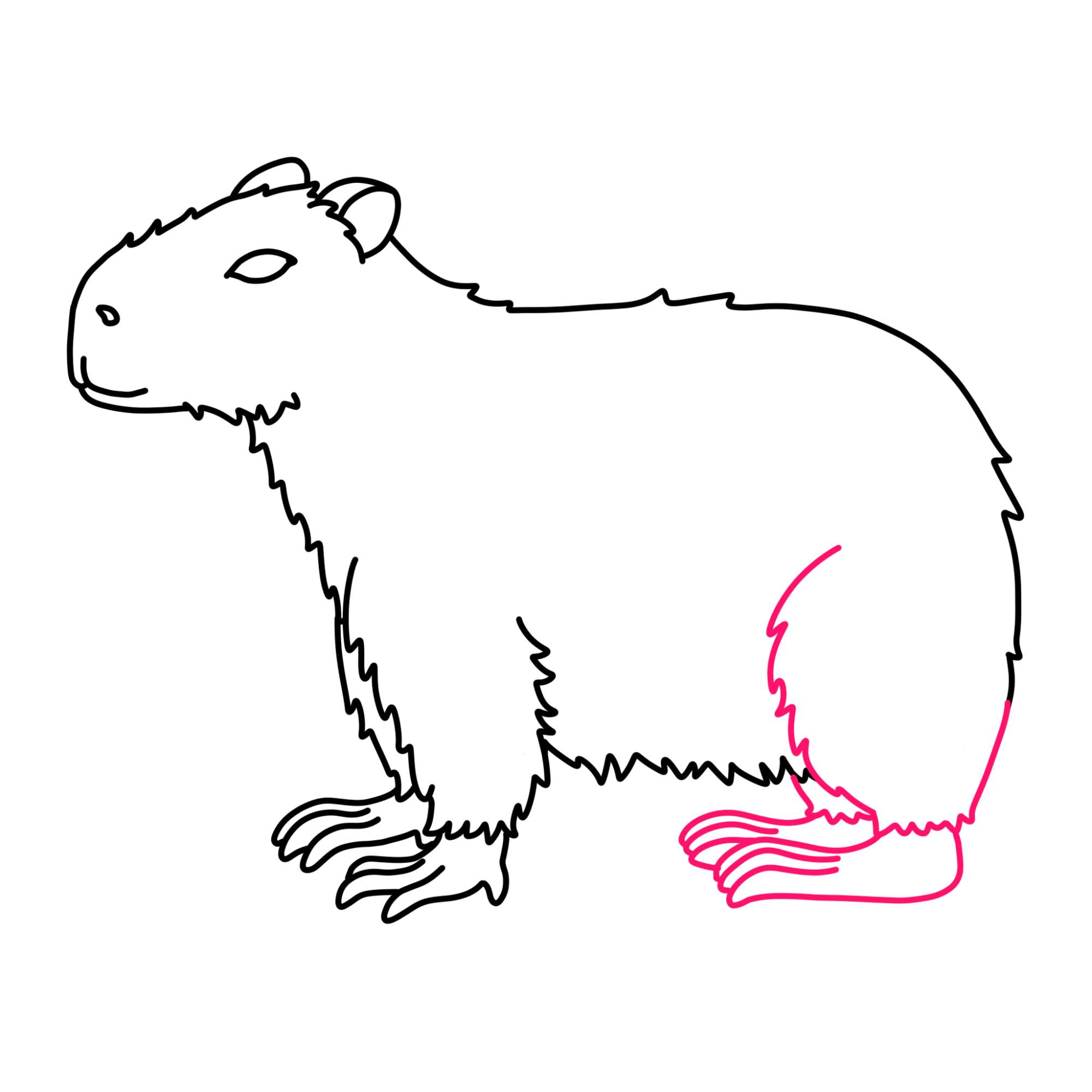 How to Draw a Capybara - Step-9