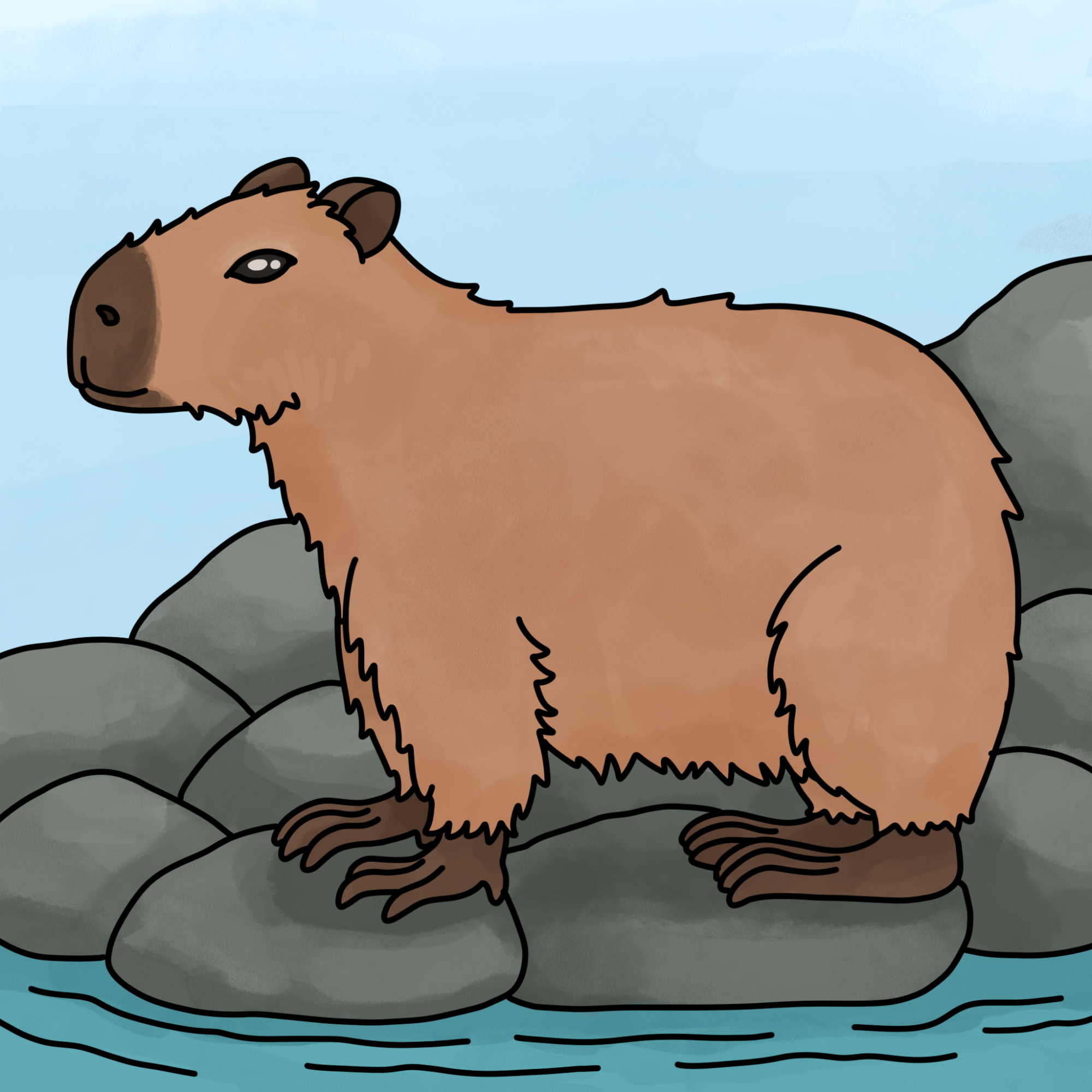 How to Draw a Capybara